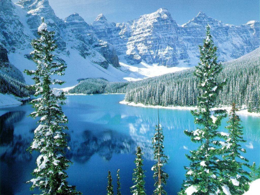 1024x768 Snow, Trees, Snow Capped Mountains, Mountain Lake, Relax