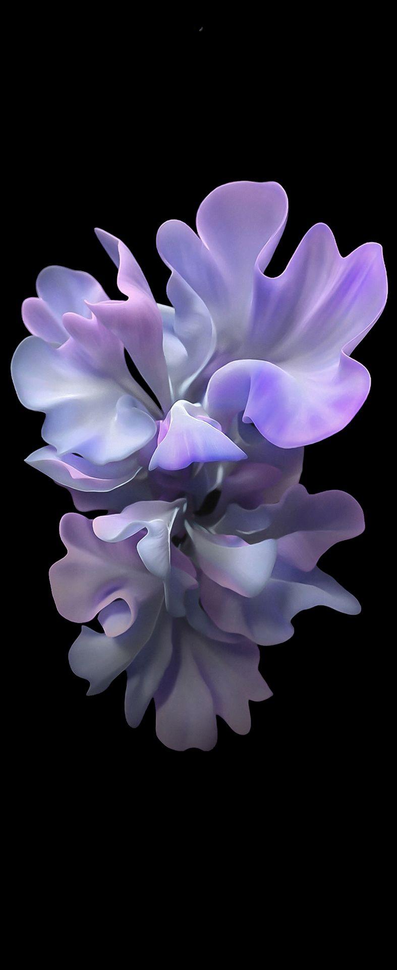 787x1920 Get the Samsung Galaxy Z Flip wallpaper here