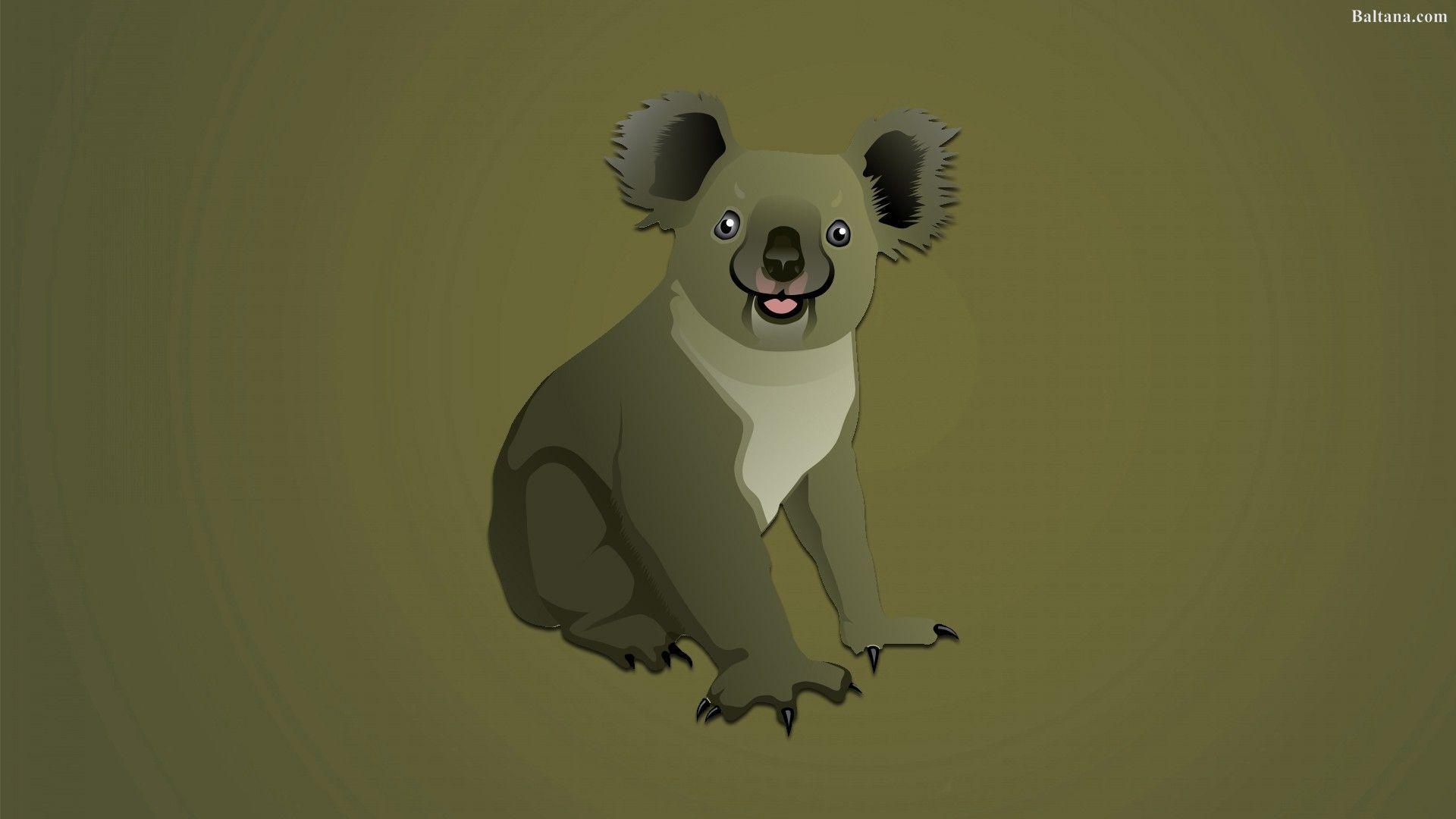 Koala Cartoon Wallpapers Top Free Koala Cartoon Backgrounds