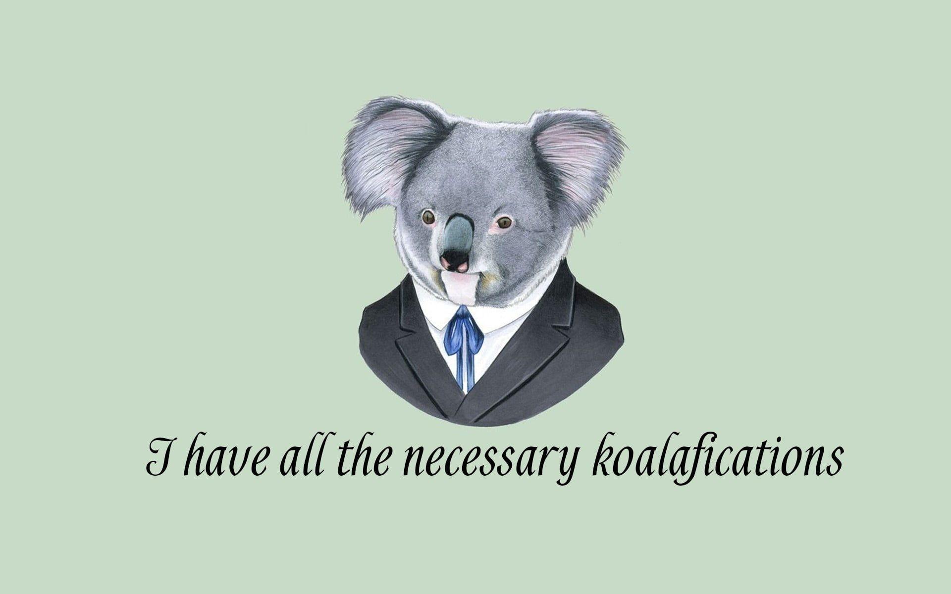 Koala Cartoon Wallpapers Top Free Koala Cartoon Backgrounds