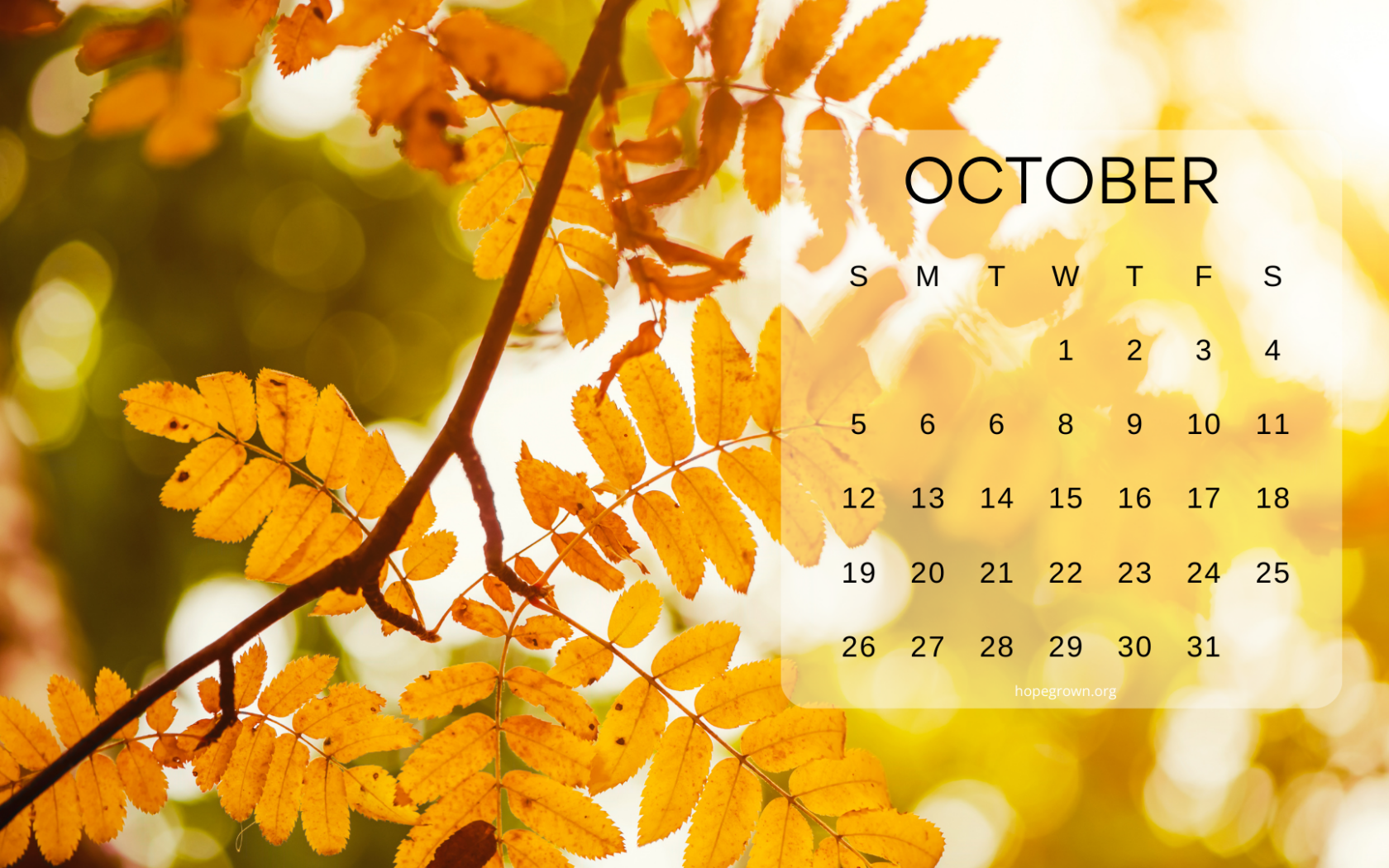 1680x1050 Free Calendar Wallpaper