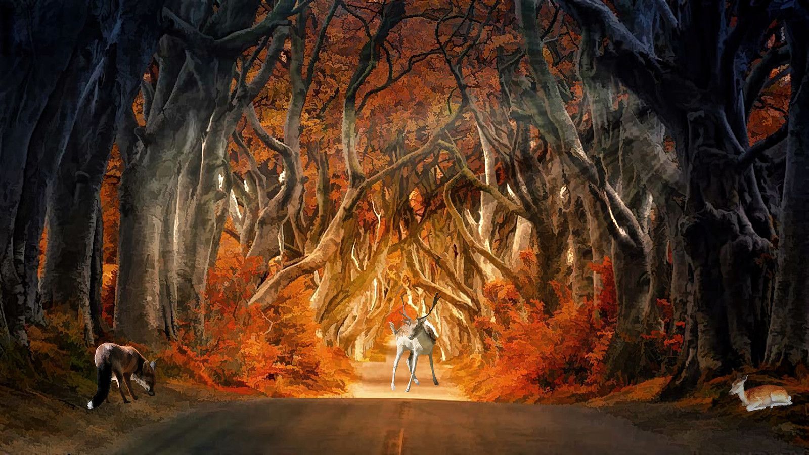 1600x900 Enchanted Autumn Forest Fantasy. Background: Pxfuel