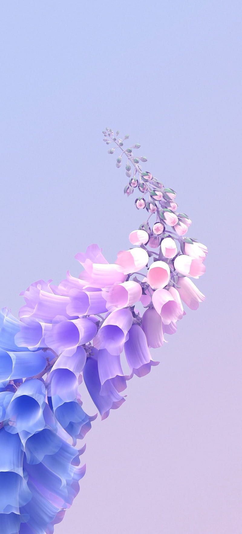 800x1760 HD origin os wallpaper