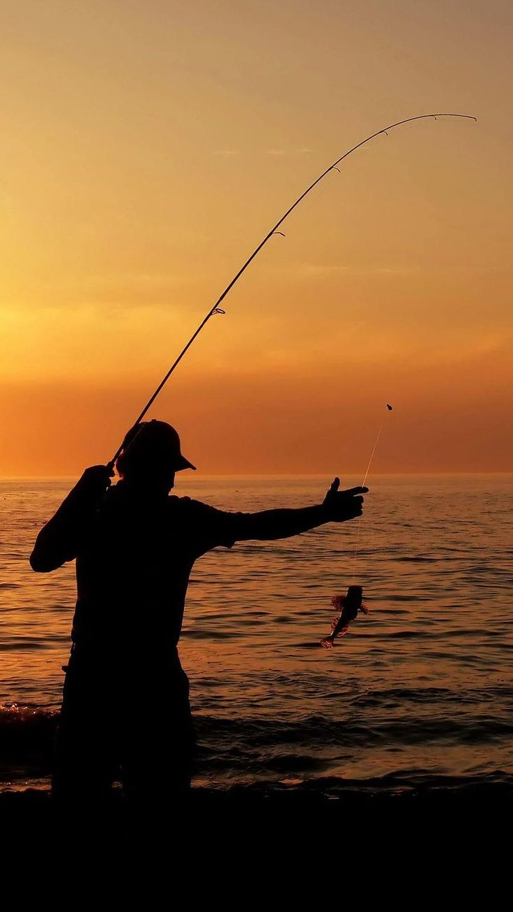 736x1308 Fishing Wallpaper
