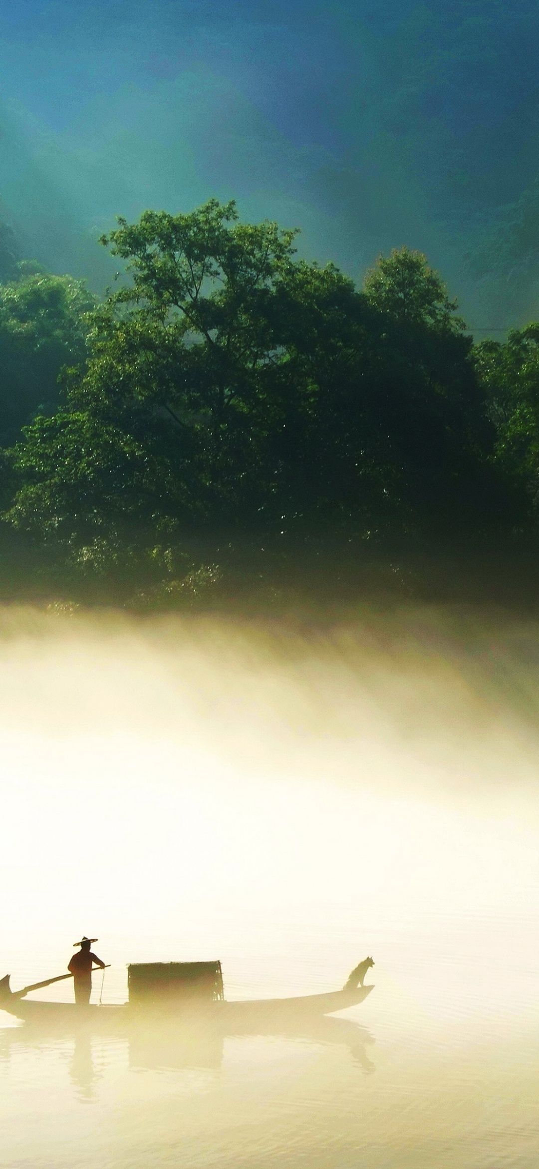 1080x2340 Fisherman Wallpaper 4K, Misty, Forest, Green Trees