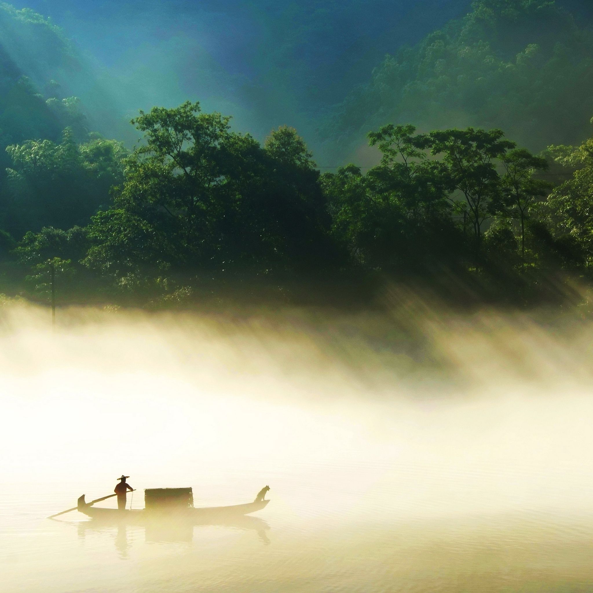 2048x2048 Fisherman Wallpaper 4K, Misty, Forest, Green Trees