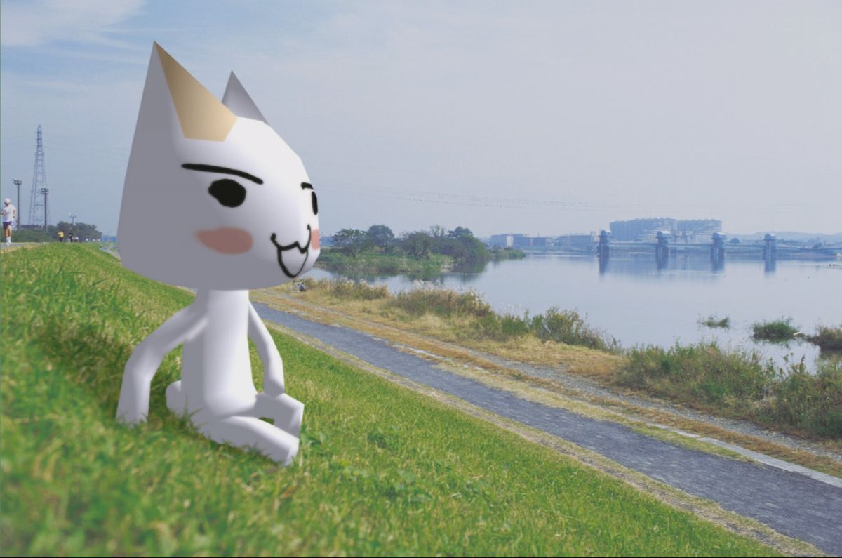 1200x795 toro cat wallpaprerr