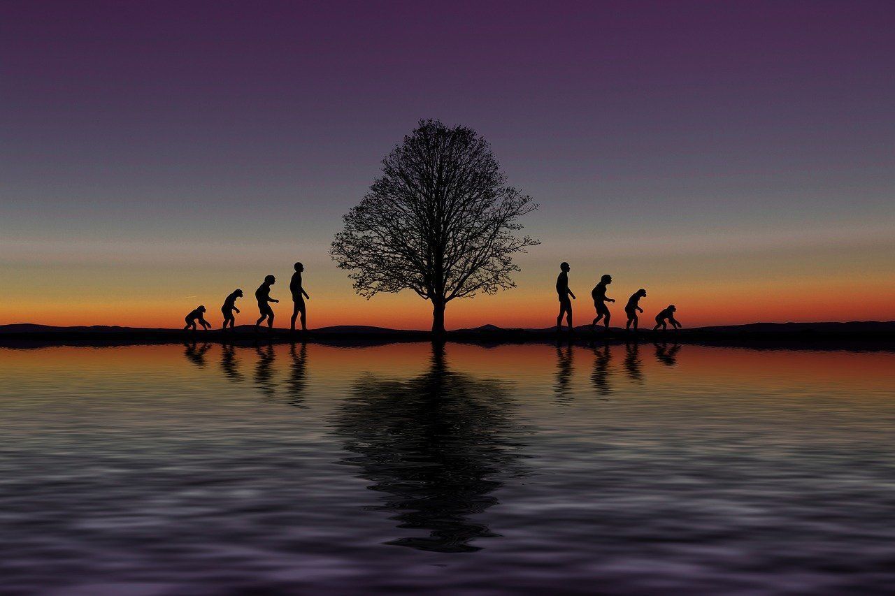 1280x853 Human Evolution Wallpaper Illustrations