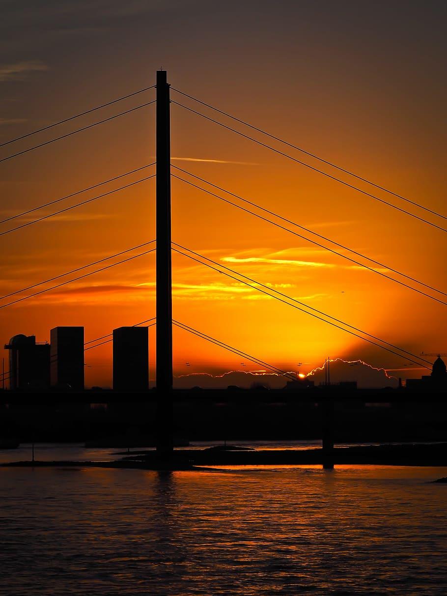 910x1213 HD wallpaper: skyline, düsseldorf, river, rhine, rheinbrücke