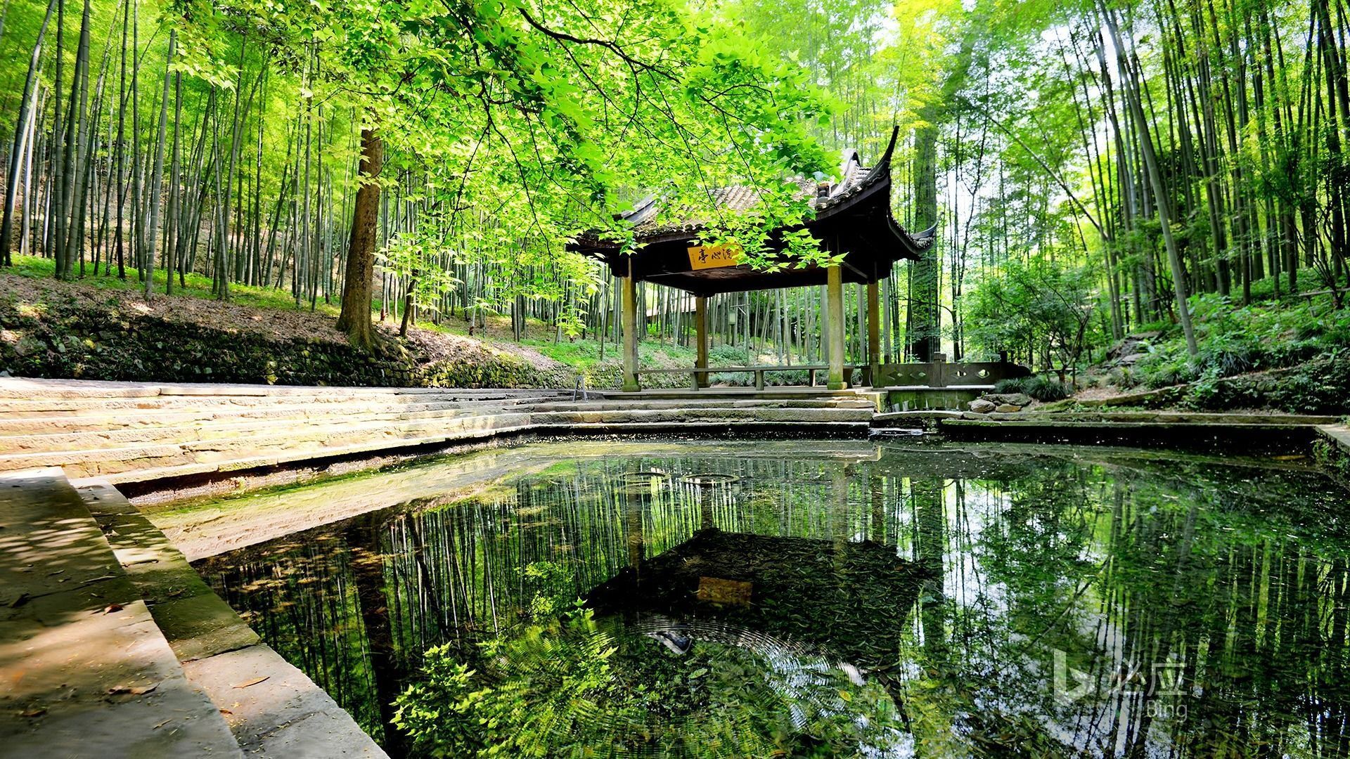 1920x1080 Bamboo Cloud River Trail Ching Ming Festival 2016 Bing Desktop Wallpaper