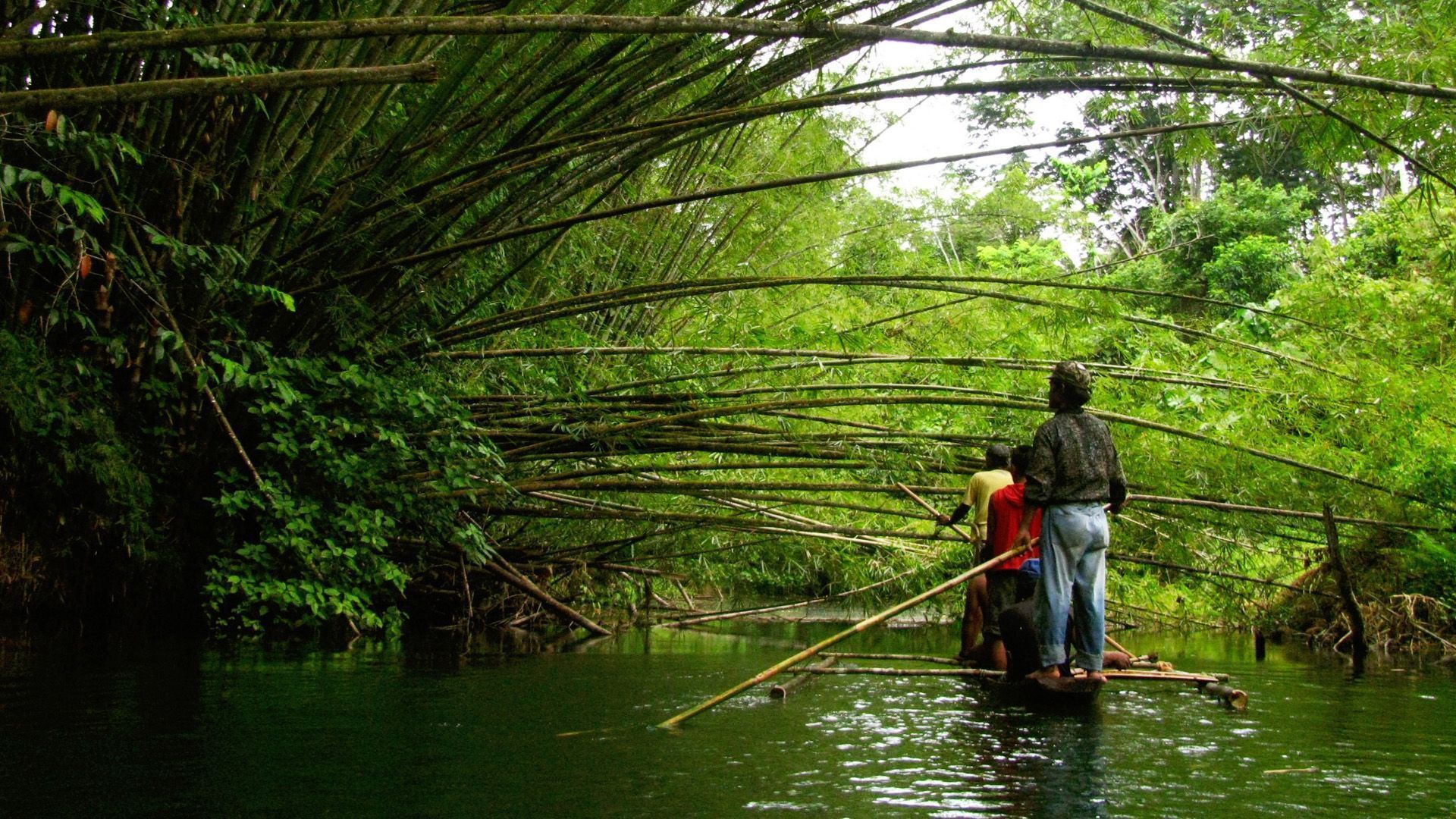 1920x1080 Philippines River Bamboo Photo Glaiza Tabanao 1920x1080px Of Life