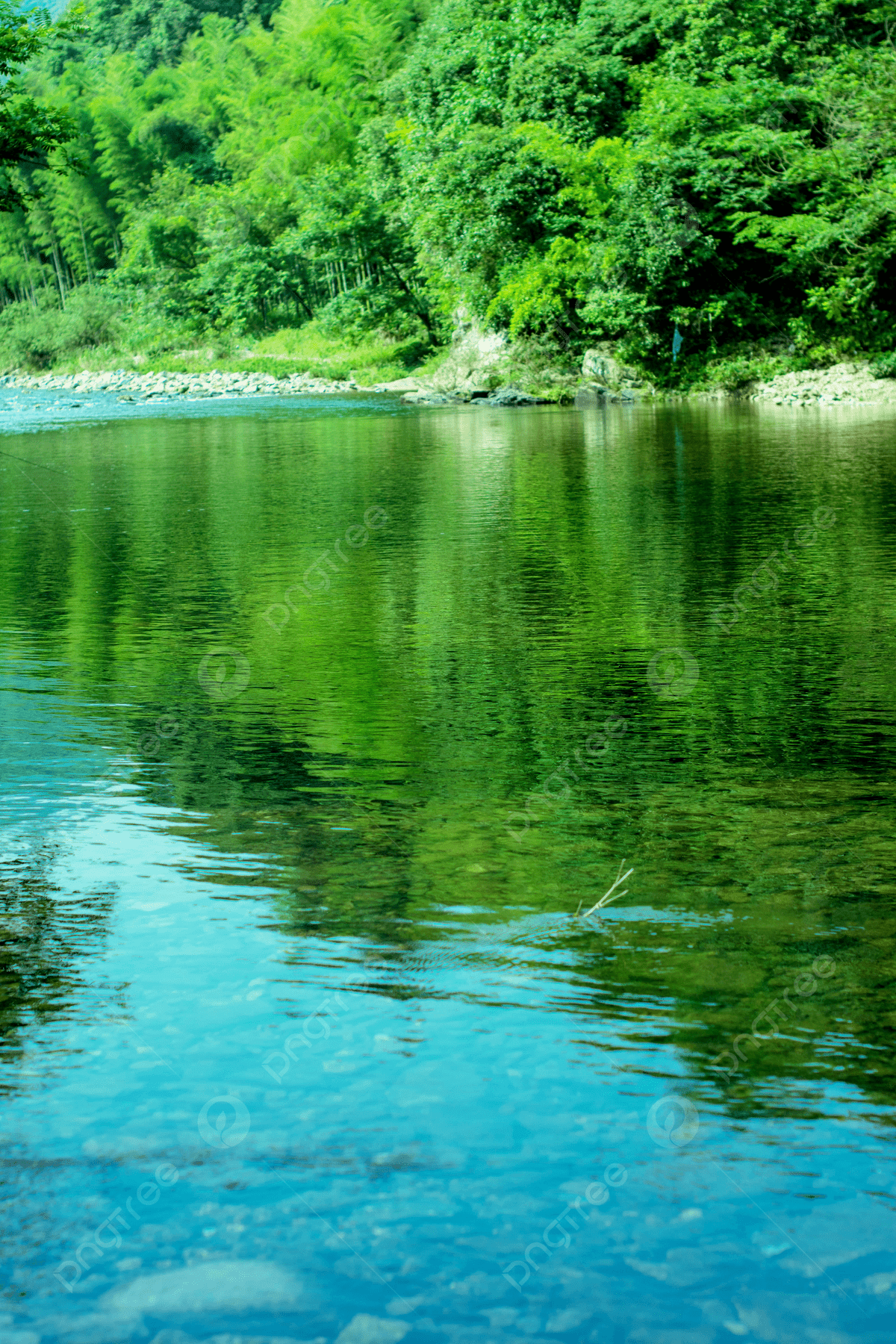1200x1800 Green Landscape Photography Of Streams Rivers Bamboo Forests And Water Waves Background Wallpaper Image For Free Download