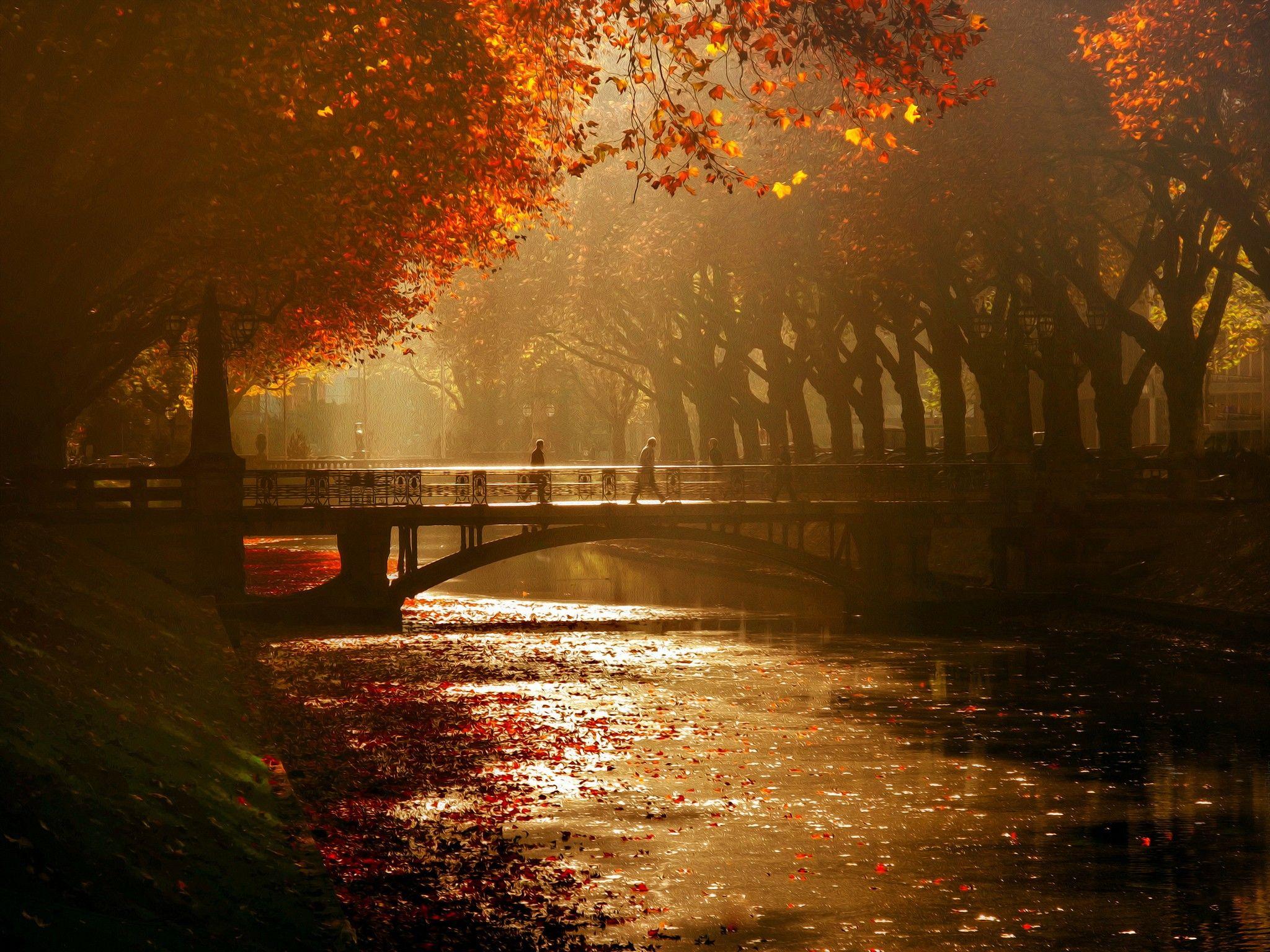 2048x1536 Royal, Mood, Phone, Bridge, Canal, dusseldorf, Autumn, iPhone Xr