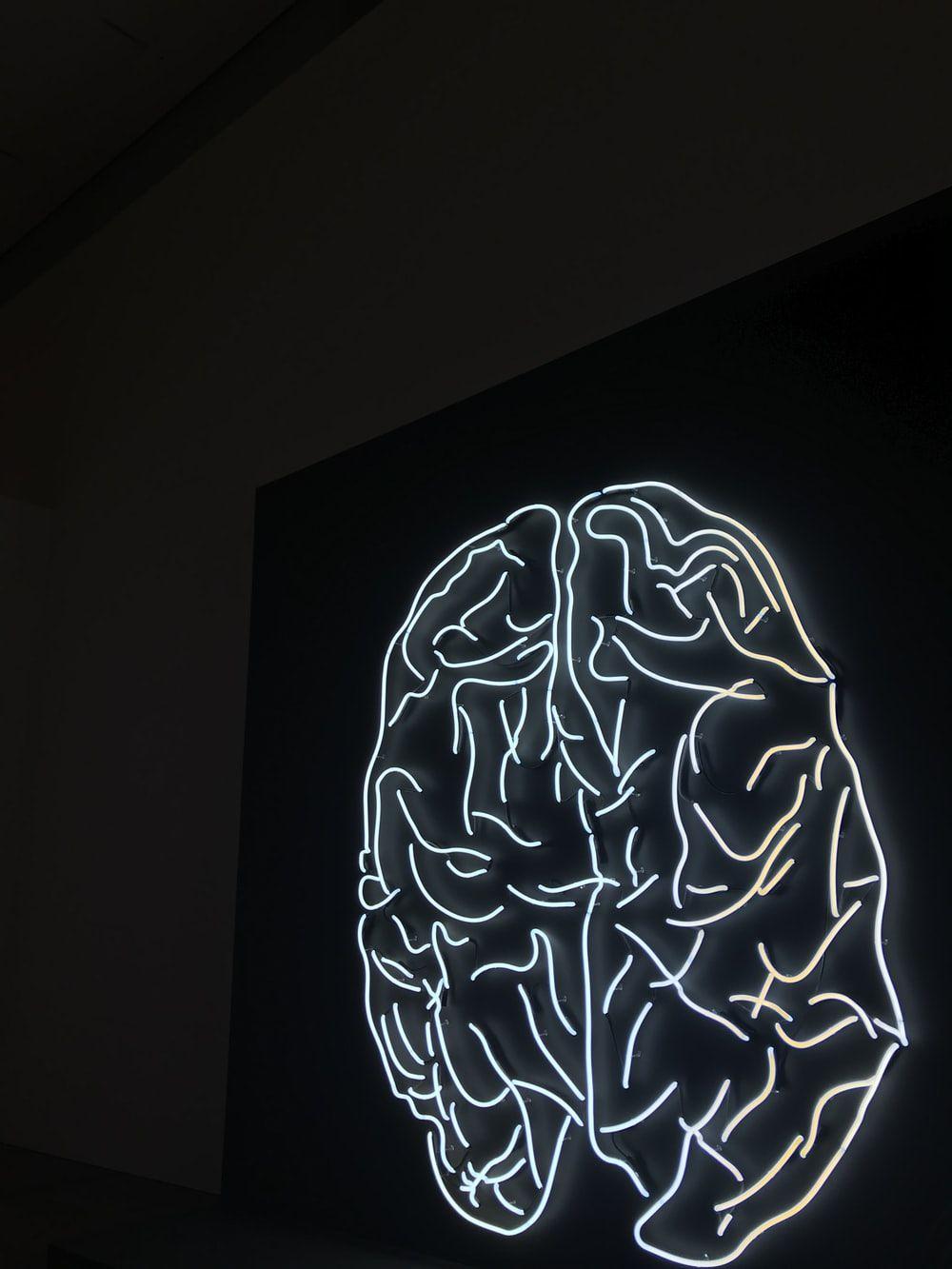 1000x1333 Brain Picture [HD]. Download Free Image