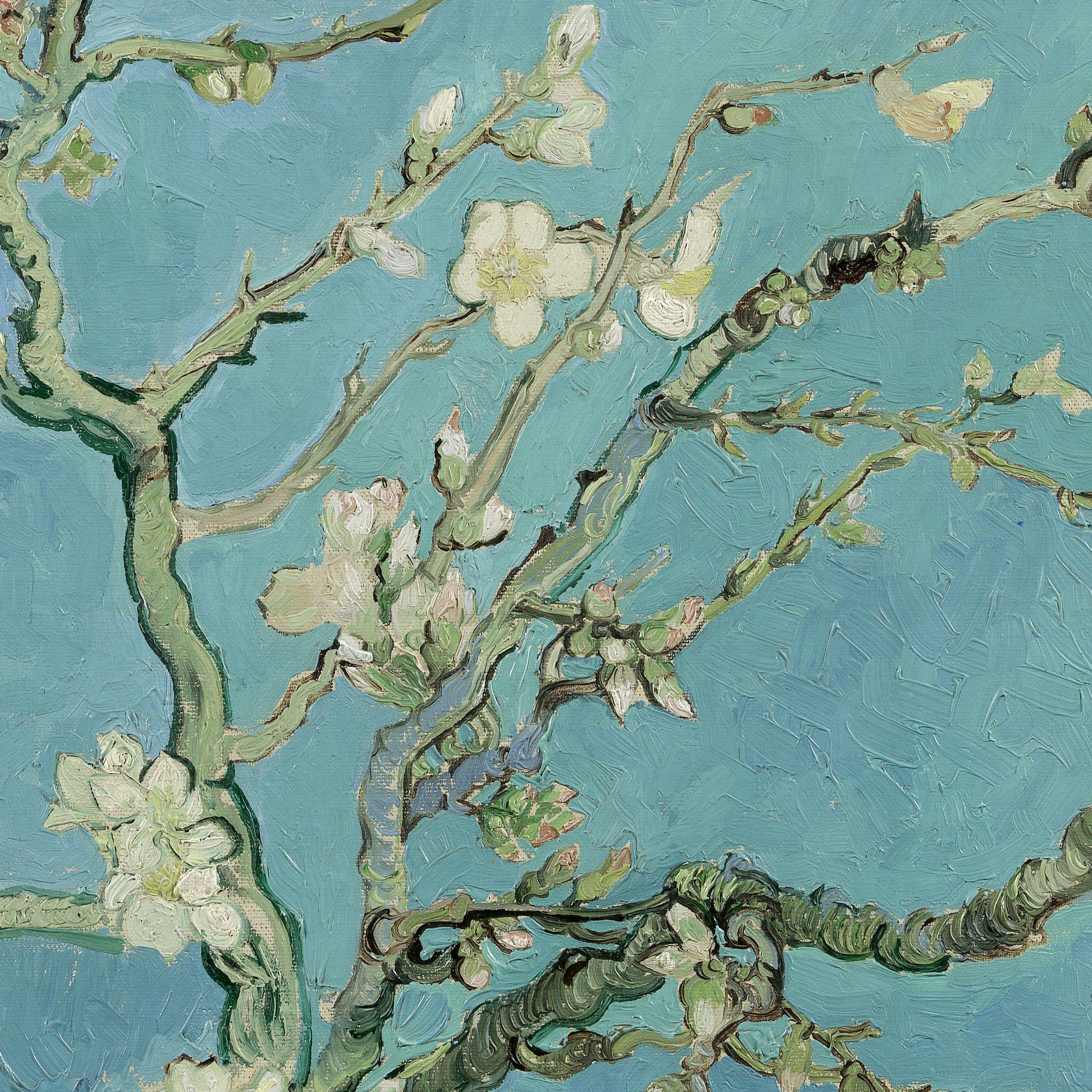 Almond Tree Van Gogh Wallpapers Top Free Almond Tree Van Gogh Almond Tree Van Gogh Wallpapers Top Free Almond Tree Van Gogh