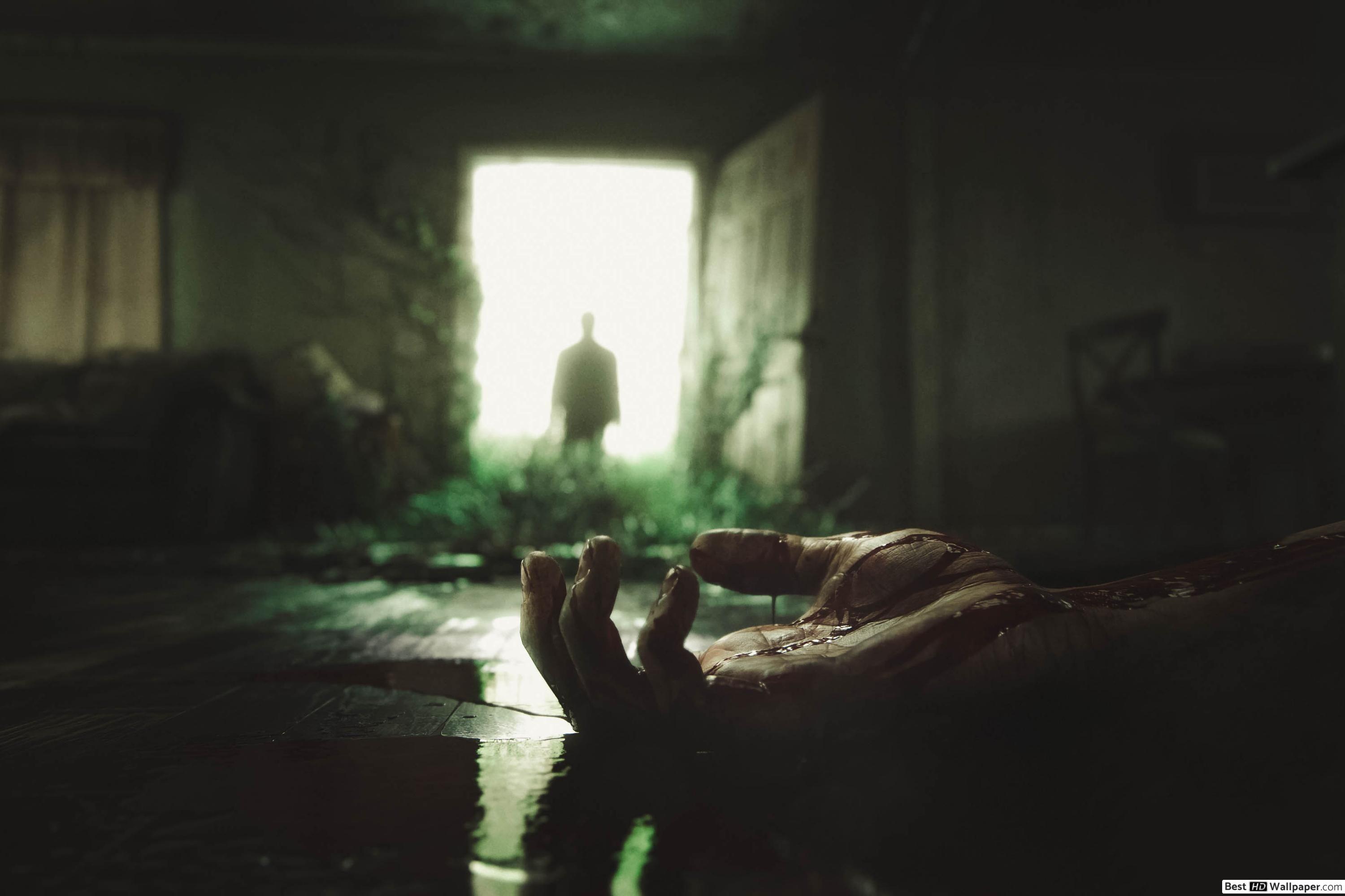 3000x2000 The Last of Us Part II HD wallpaper download