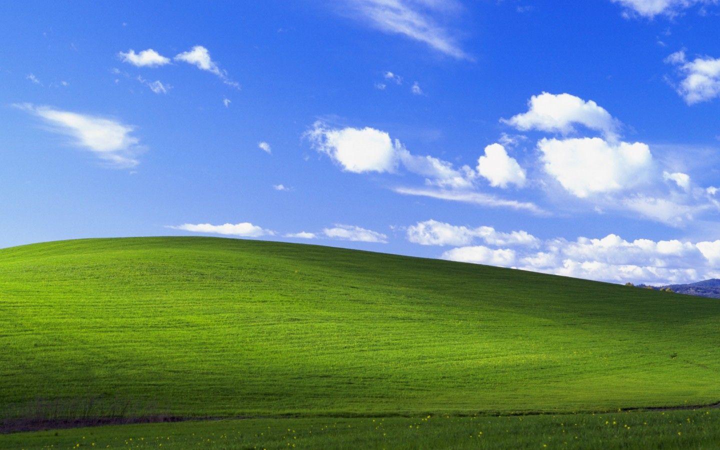 1440x900 Hình nền Bliss, Phong cảnh, Windows XP, Cổ phiếu, 4K, Thiên nhiên