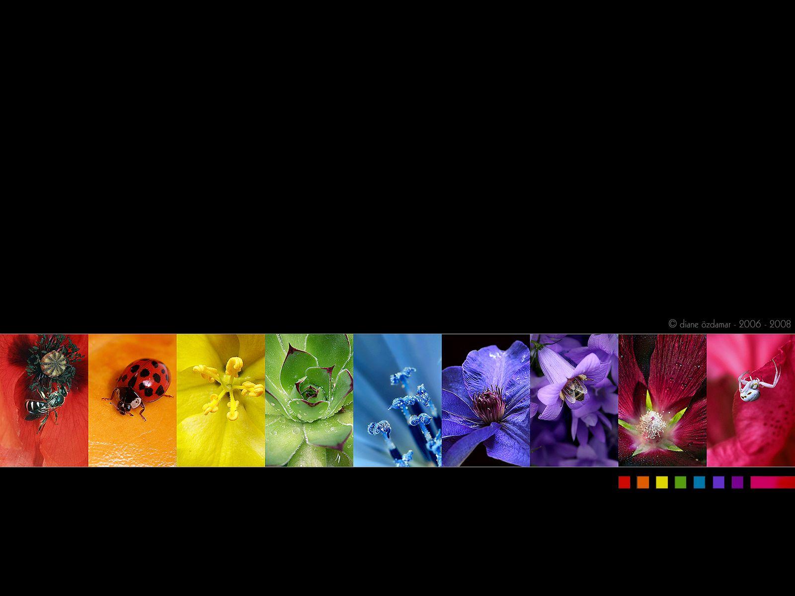1600x1200 Natural Rainbow wallpaper. Natural Rainbow stock