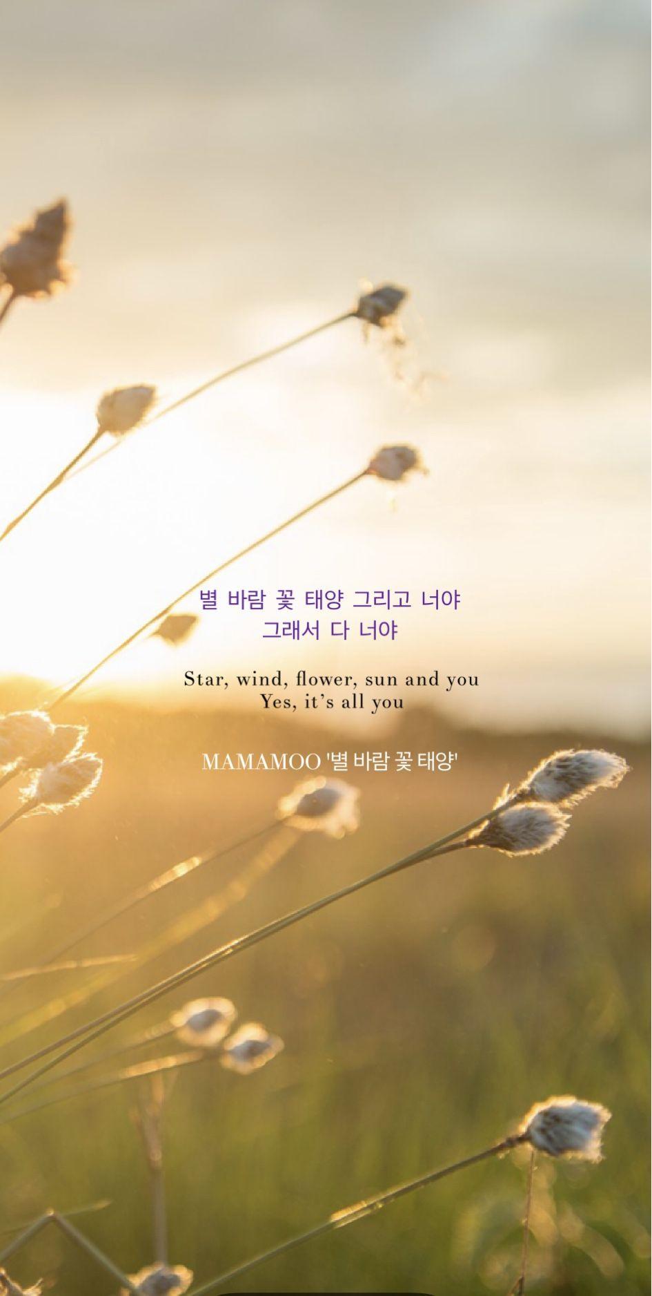945x1876 Mamamoo
