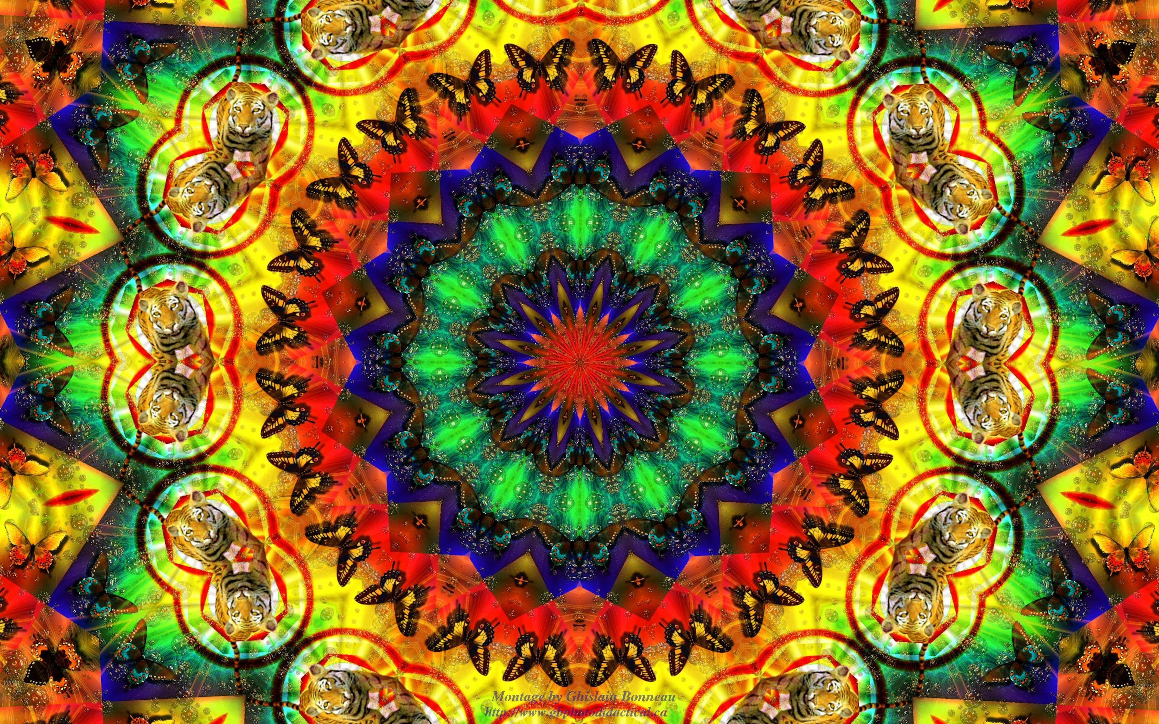 Tribal Seamless Border Multicolor Bohemian Wallpaper Hippie Boho Rug  Geometric Tie Dye Stock Illustration  Illustration of graphic indian  257696564