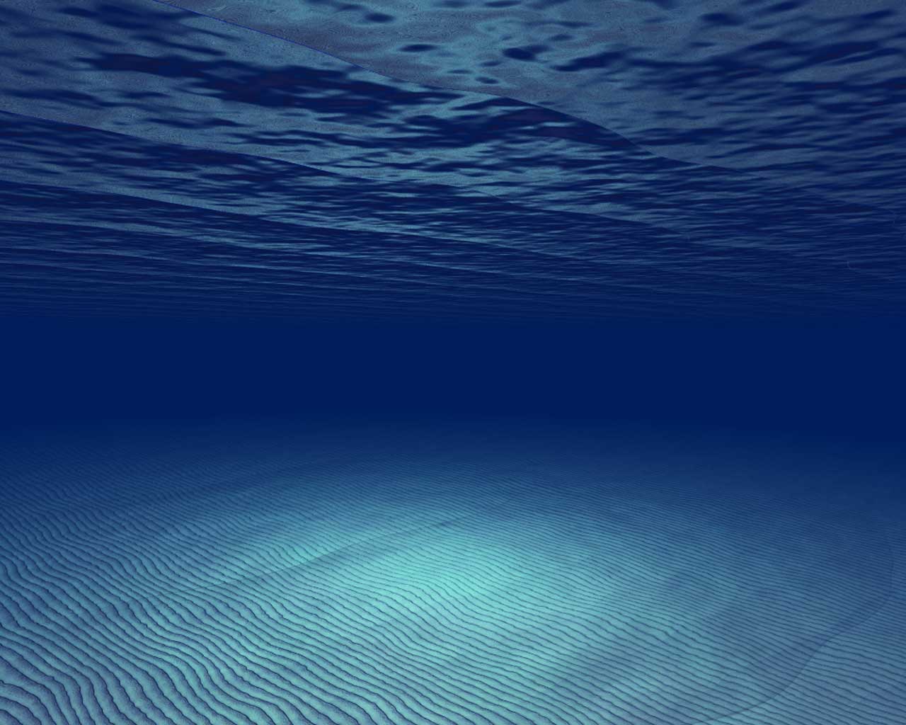 Undersea Wallpapers - Top Free Undersea Backgrounds - WallpaperAccess