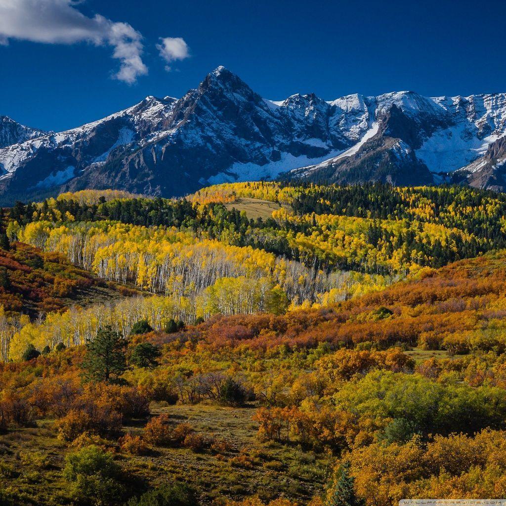 Aspen Wallpapers - Top Free Aspen Backgrounds - WallpaperAccess