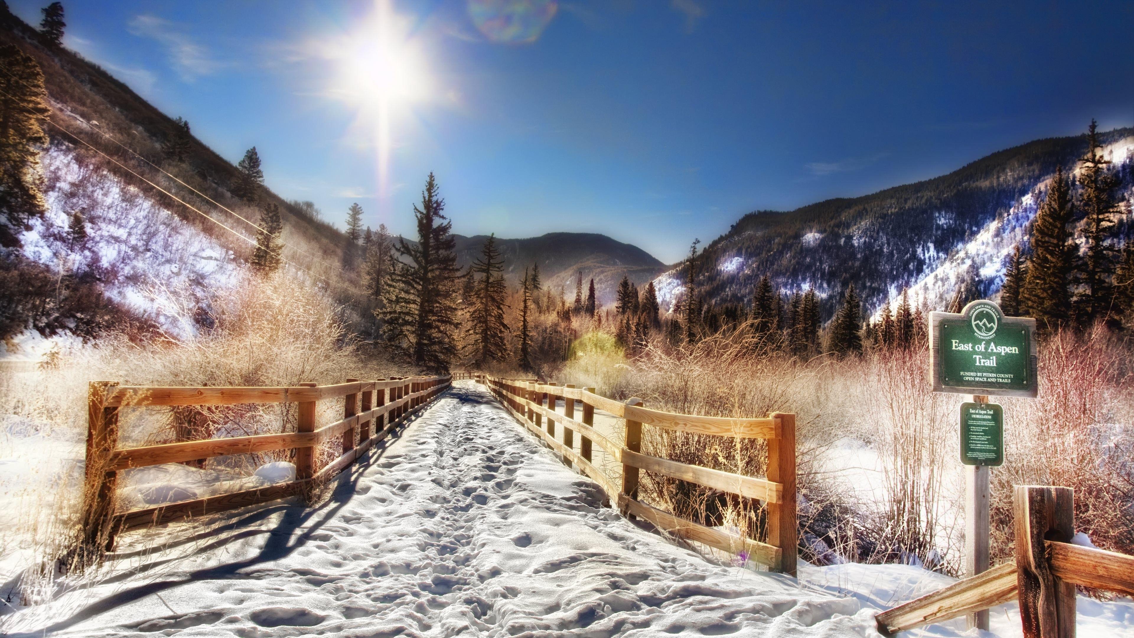 3840x2160 #sunlight, #forest, #snow, #Aspen, #mountains, #nature