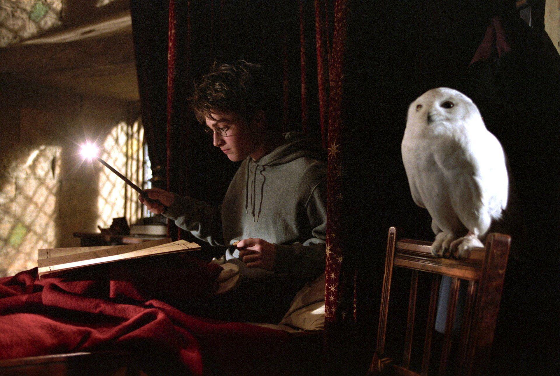 1920x1292 Harry Potter, Harry Potter and the Prisoner of Azkaban, Hermione