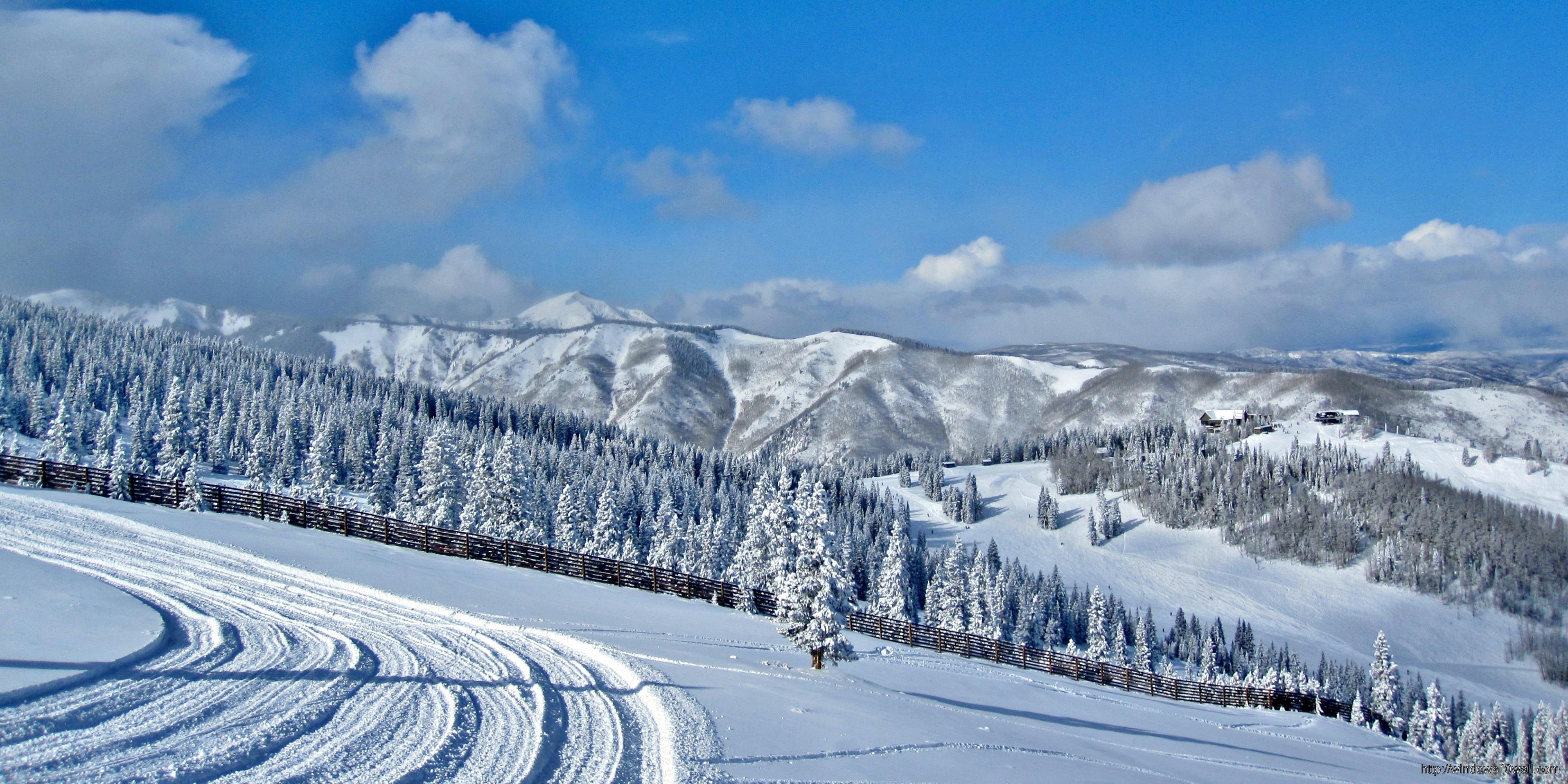 3831x1916 Aspen Wallpaper, Picture