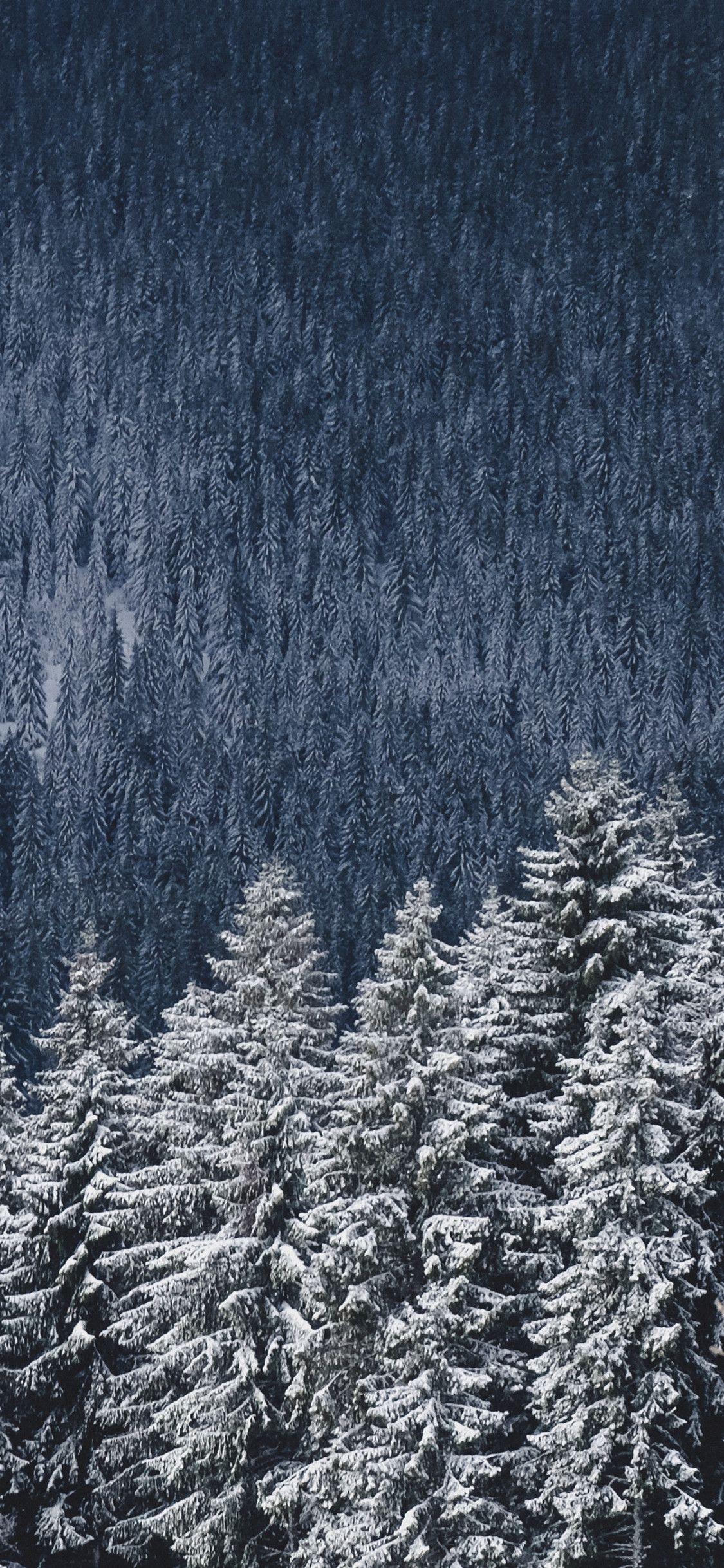 1125x2436 Aspen Colorado Winter Travel Wallpaper Wallpaper