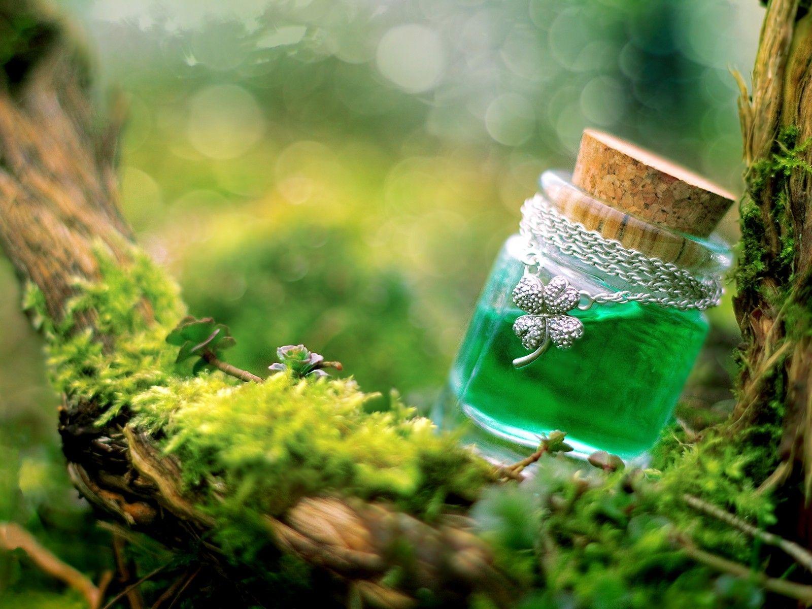 1600x1200 Free download Forest Leprechaun Wallpaper 1600x1200 Forest