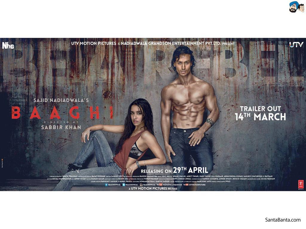 1024x768 Baaghi 3 Wallpaper