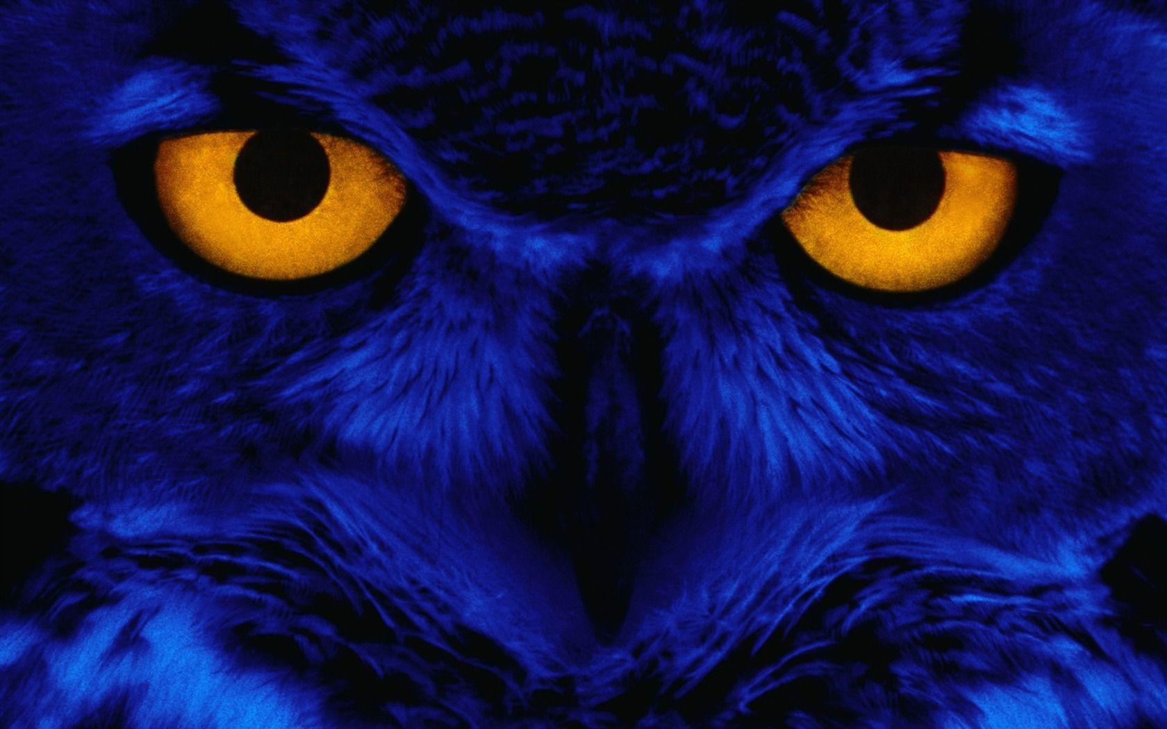 1680x1050 PC Weird Wallpaper in Fine Collection