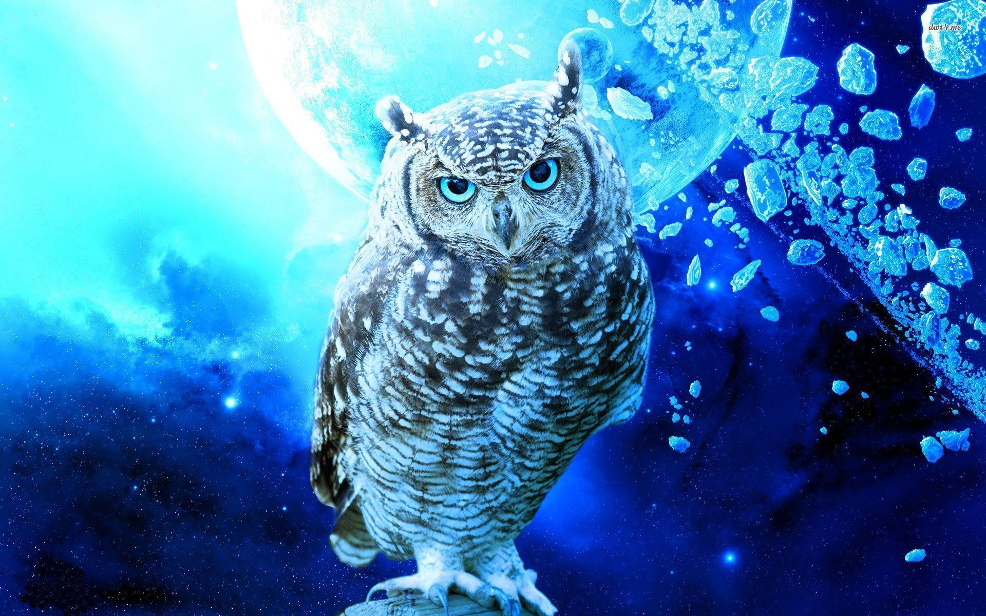 1920x1200 Owl Art Background Wallpaper 21119