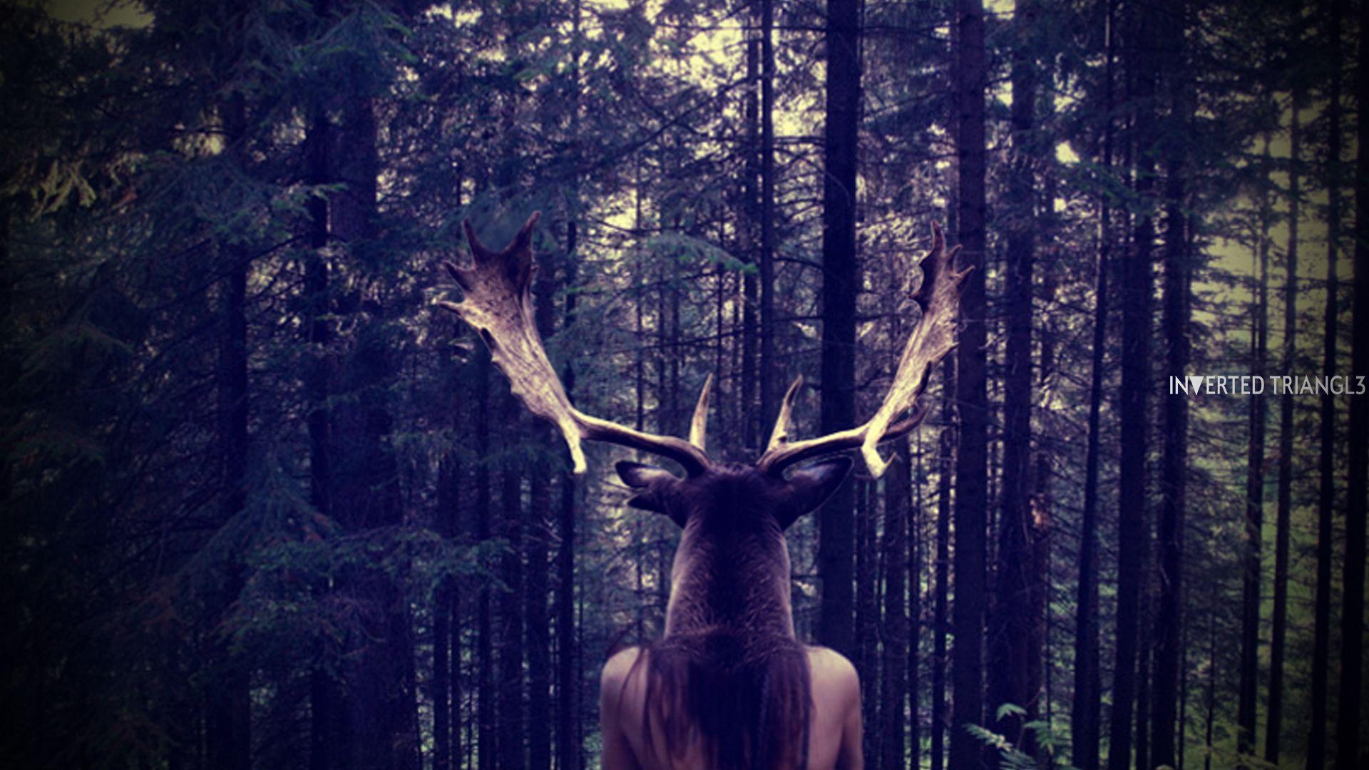 1920x1080 1080P Hipster Wallpaper