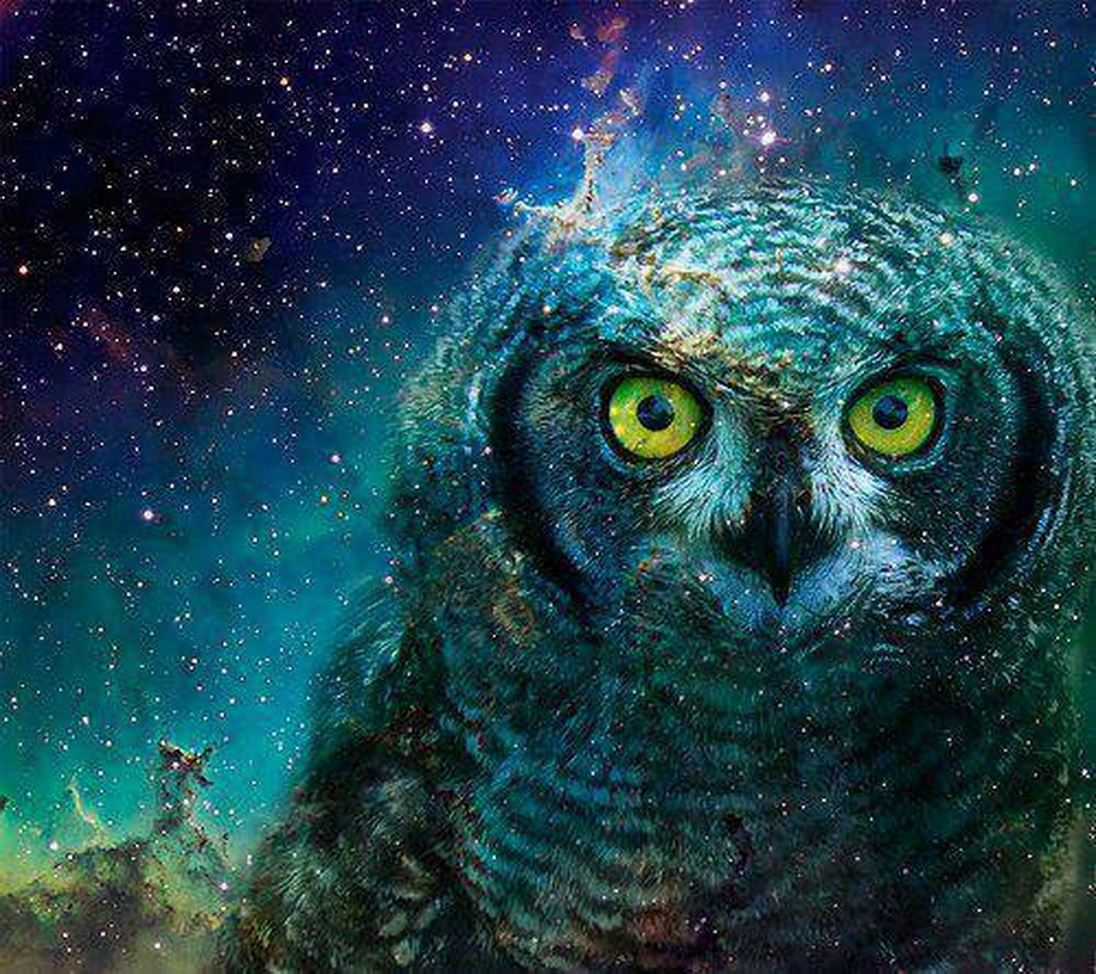 2160x1920 space wallpaper owl