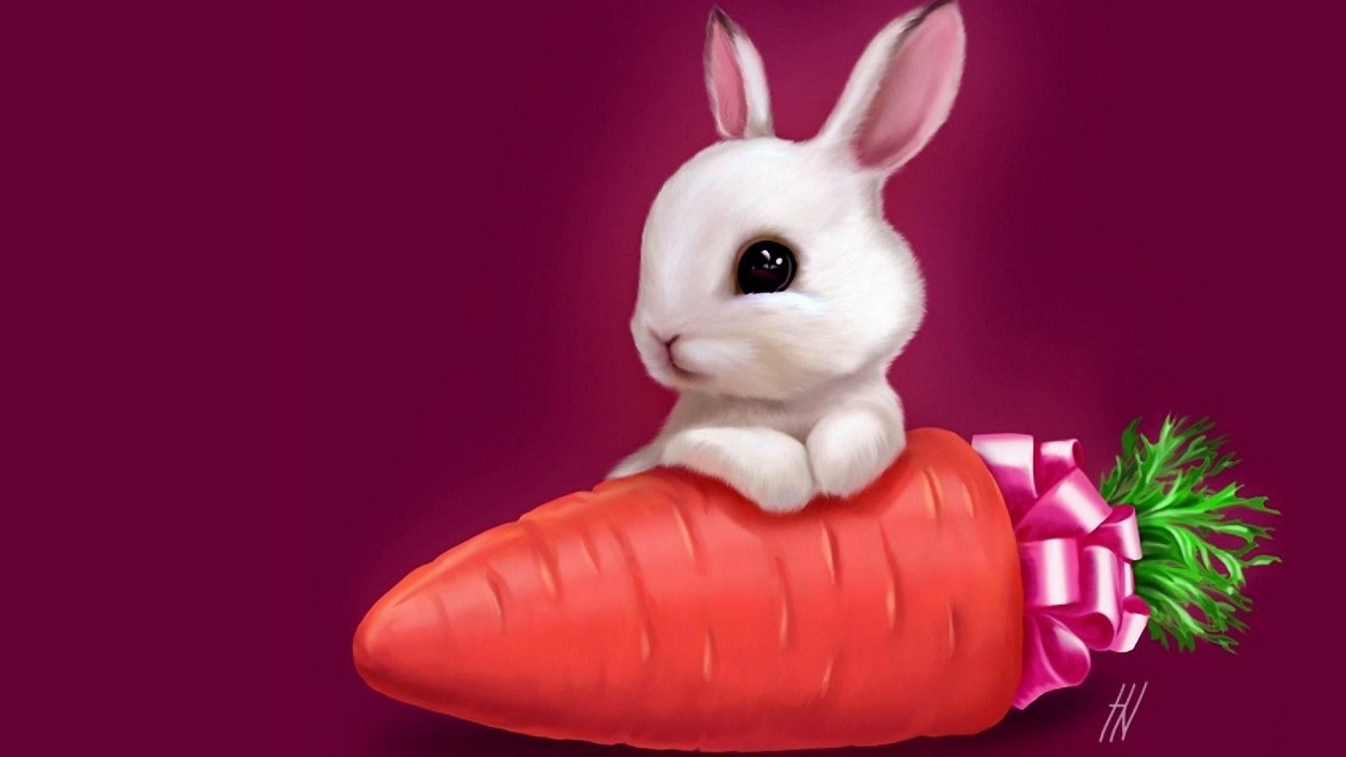 Cartoon Rabbit Wallpapers - Top Free Cartoon Rabbit Backgrounds