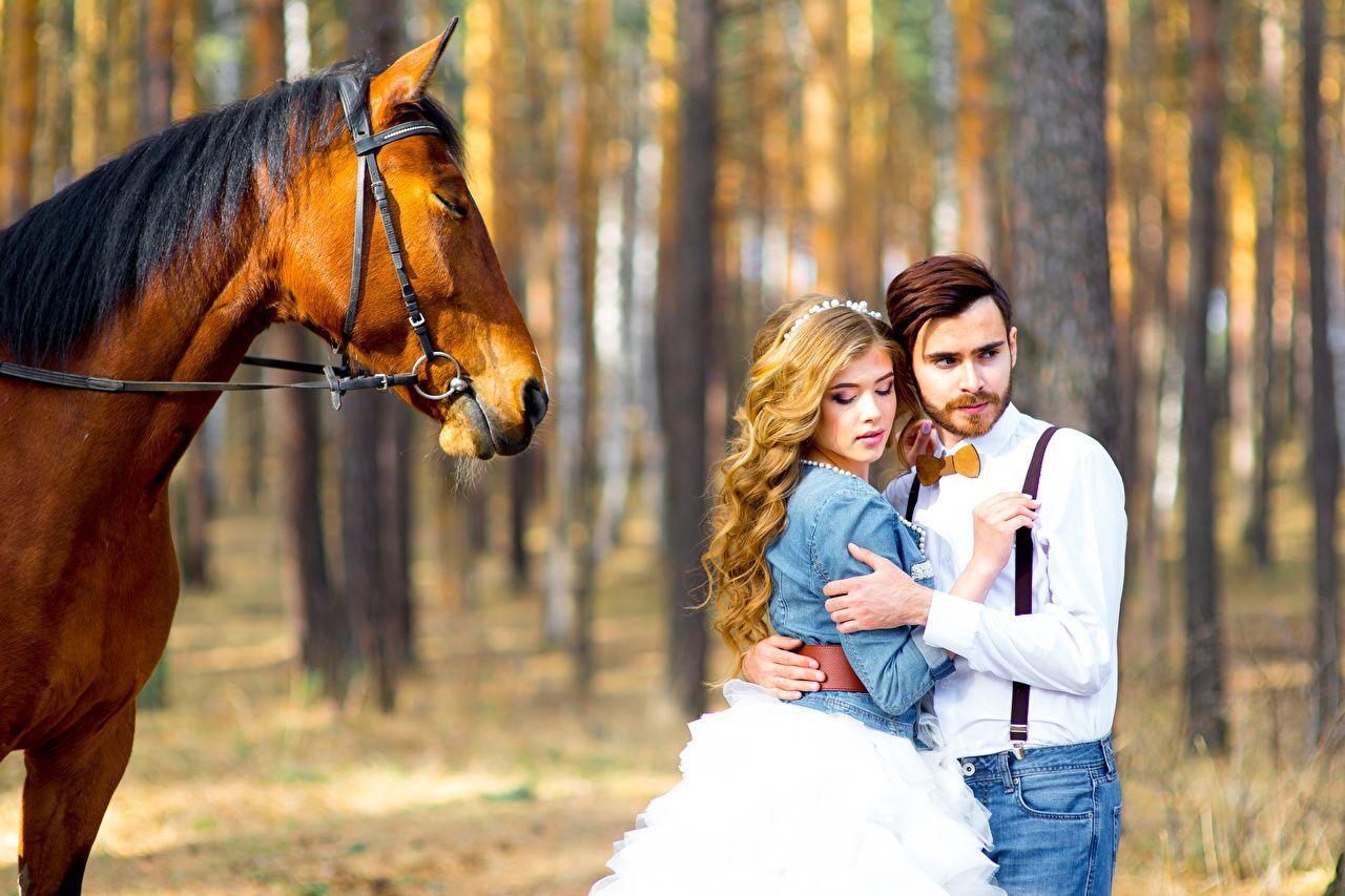 1280x853 Desktop Wallpaper young woman grooms Horses Bride marriage Blonde