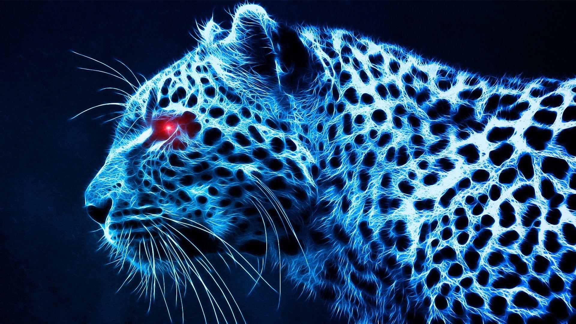1920x1080 Cheetah Wallpaper Widescreen #AC6B7X6