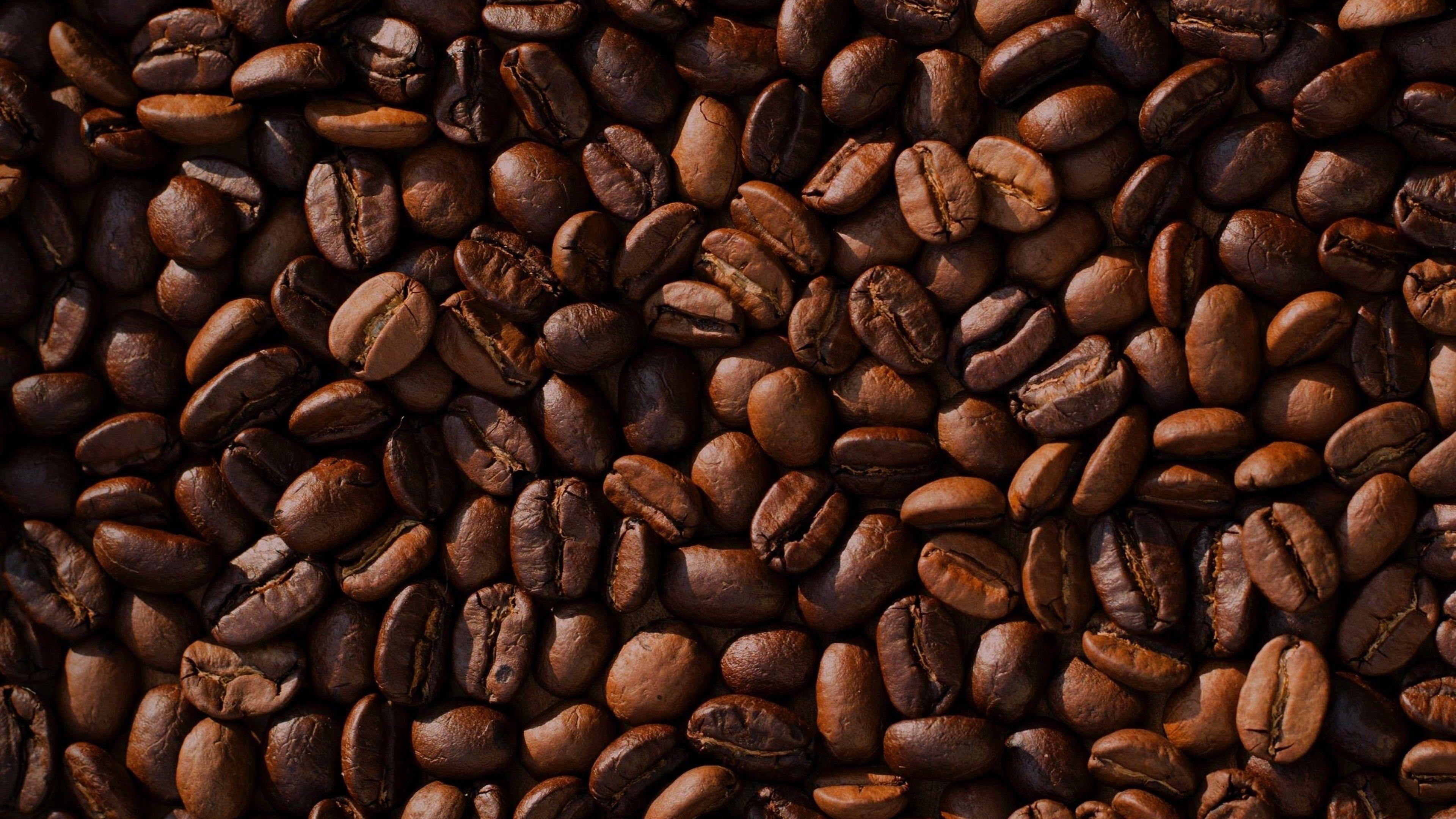 500 Coffee Bean Pictures  Download Free Images on Unsplash