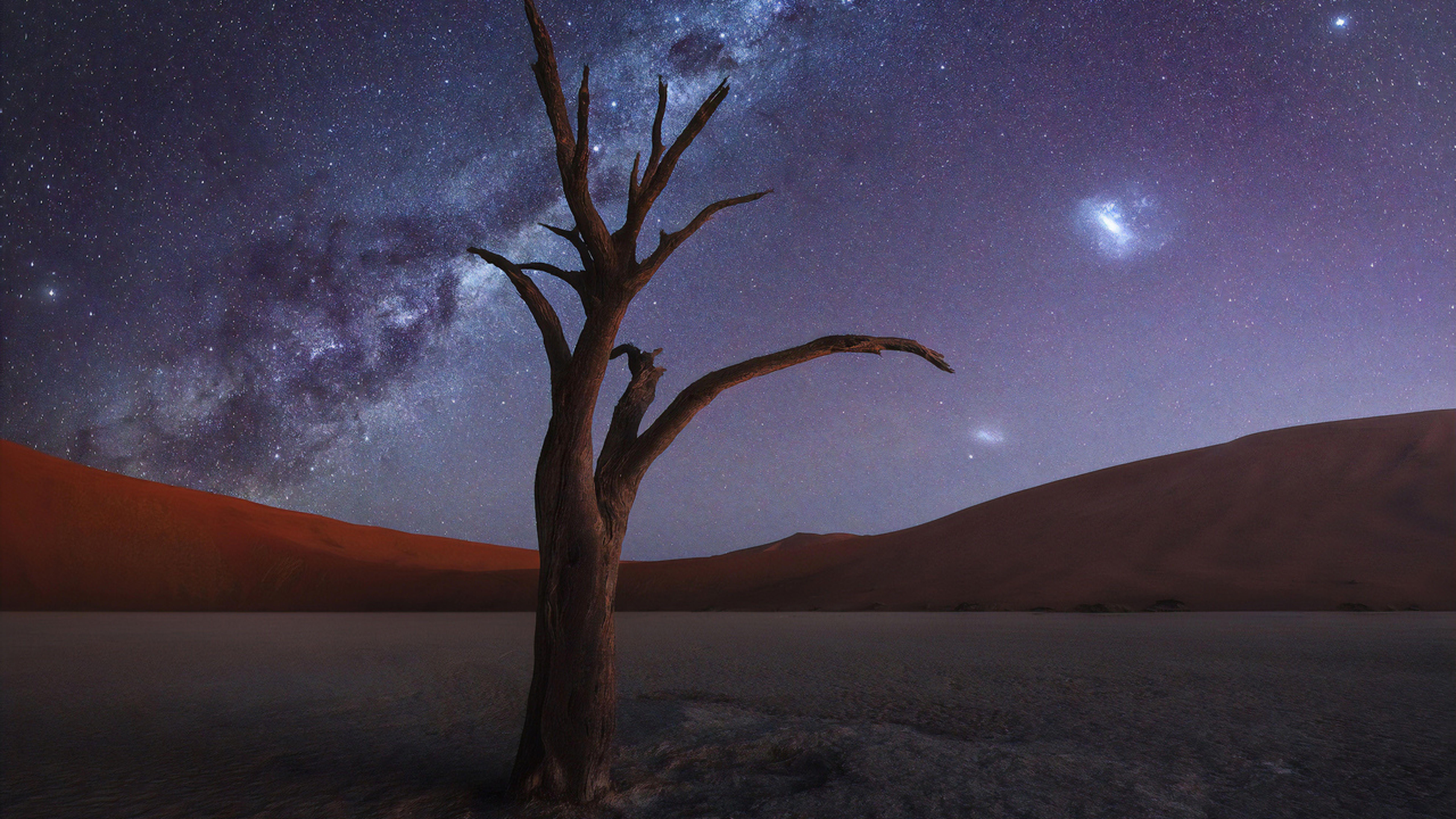 7680x4320 Tree Desert Milky Way 4K HD Wallpaper (7680x4320)