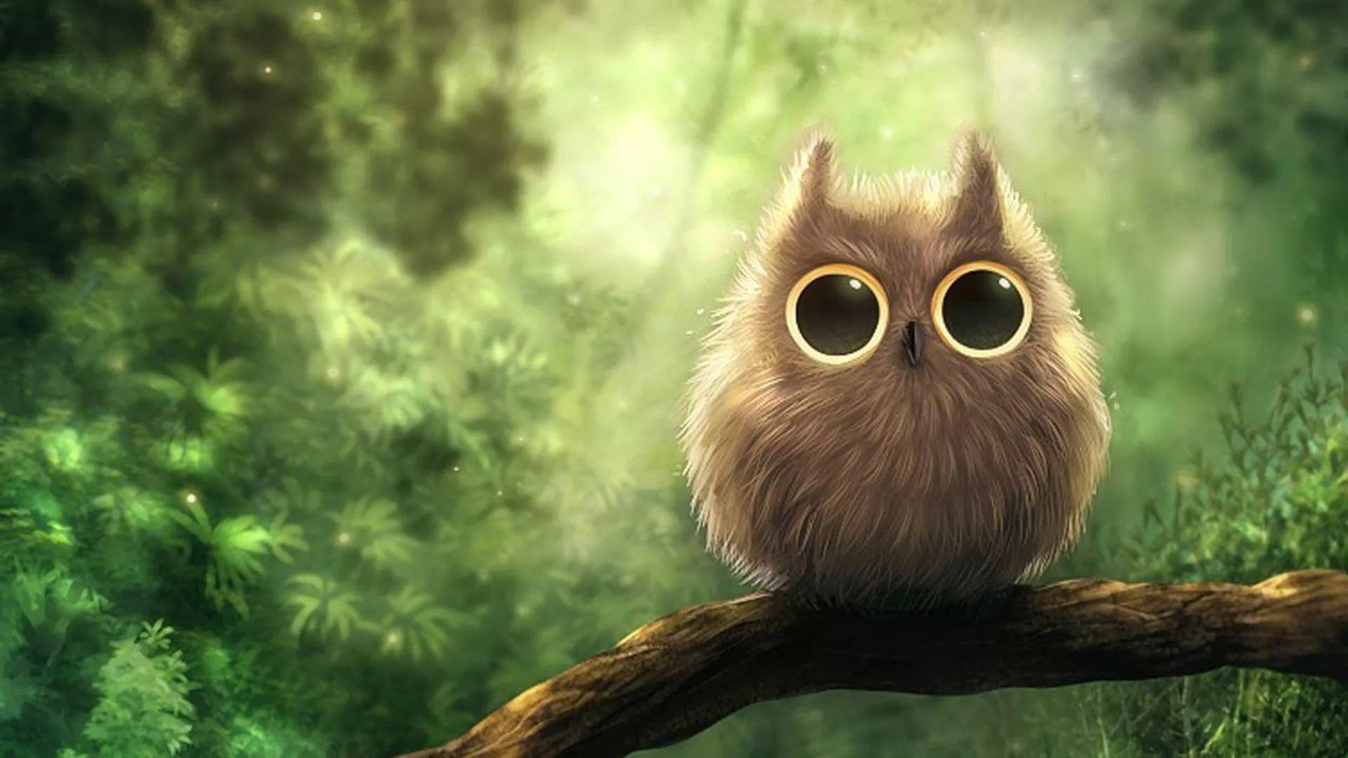 Cute Owl Desktop Wallpapers - Top Những Hình Ảnh Đẹp
