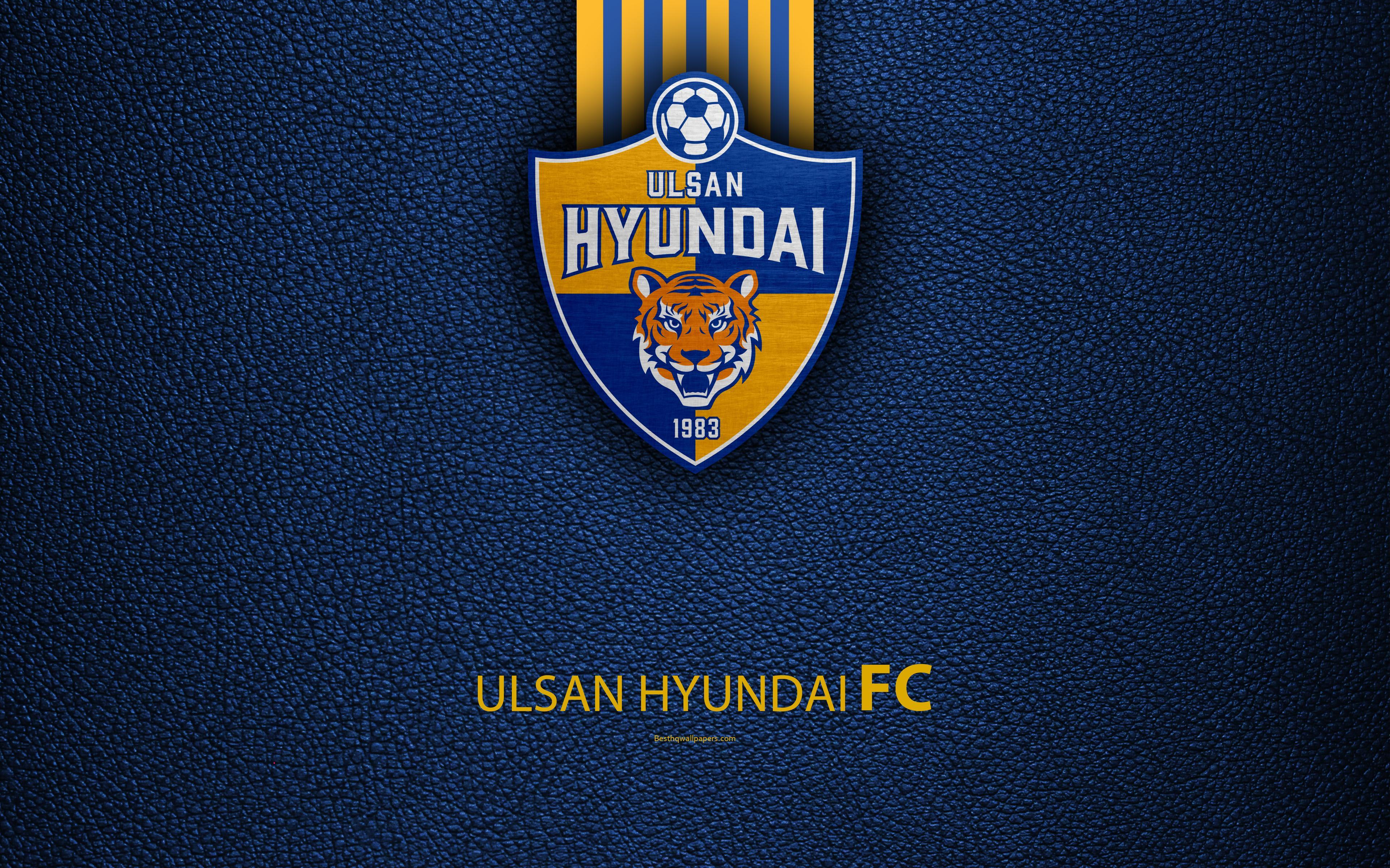 3840x2400 Ulsan Hyundai FC Wallpaper