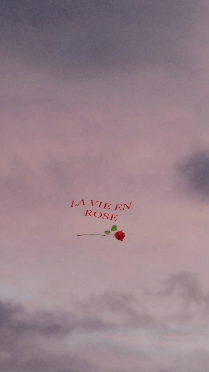 720x1280 La Vie En Rose Wallpaper