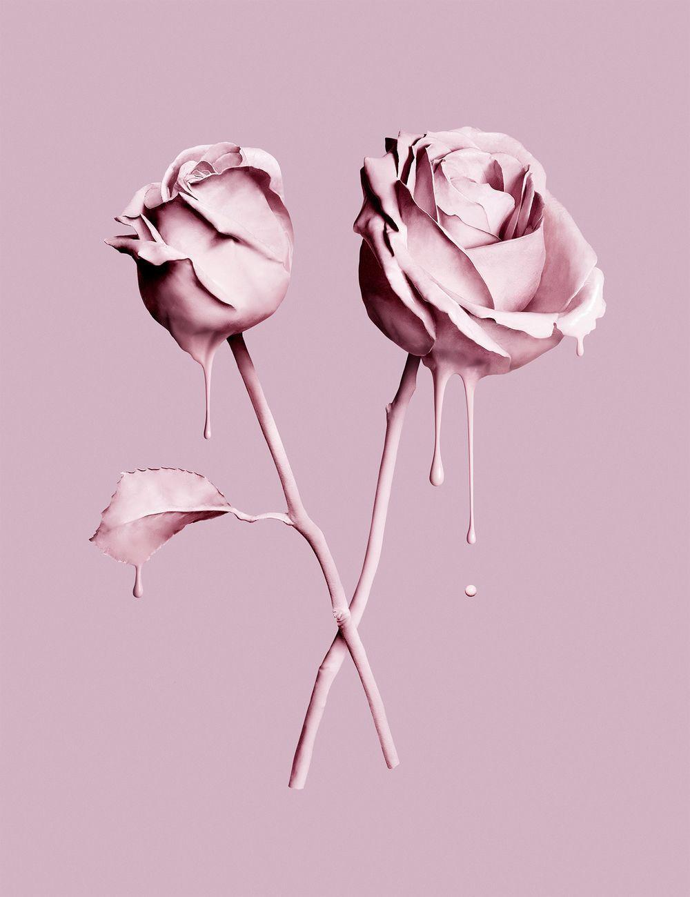 La Vie En Rose Wallpapers - Top Free La