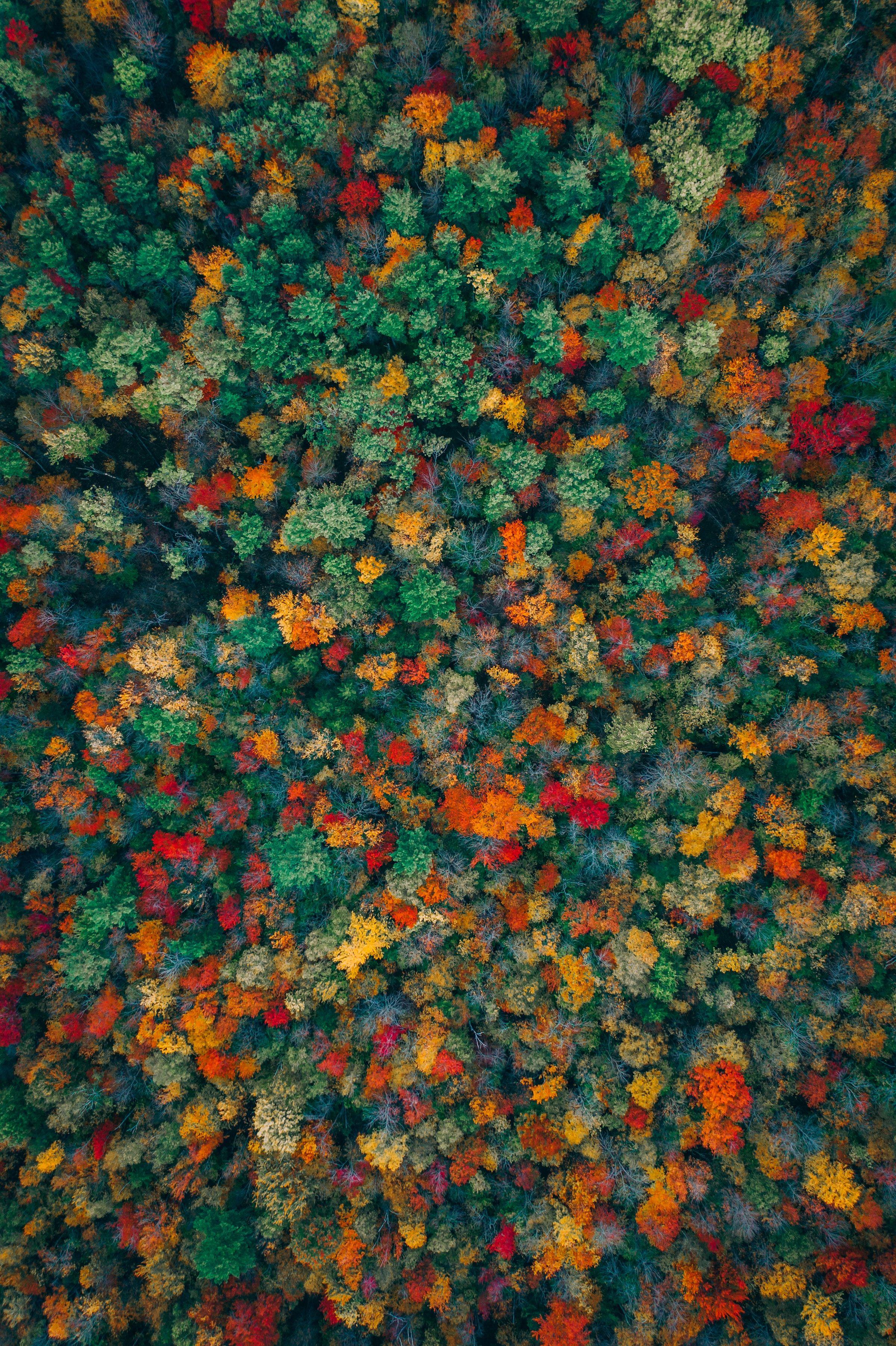 2400x3603 Dope Wallpaper for Your New iPhone 11