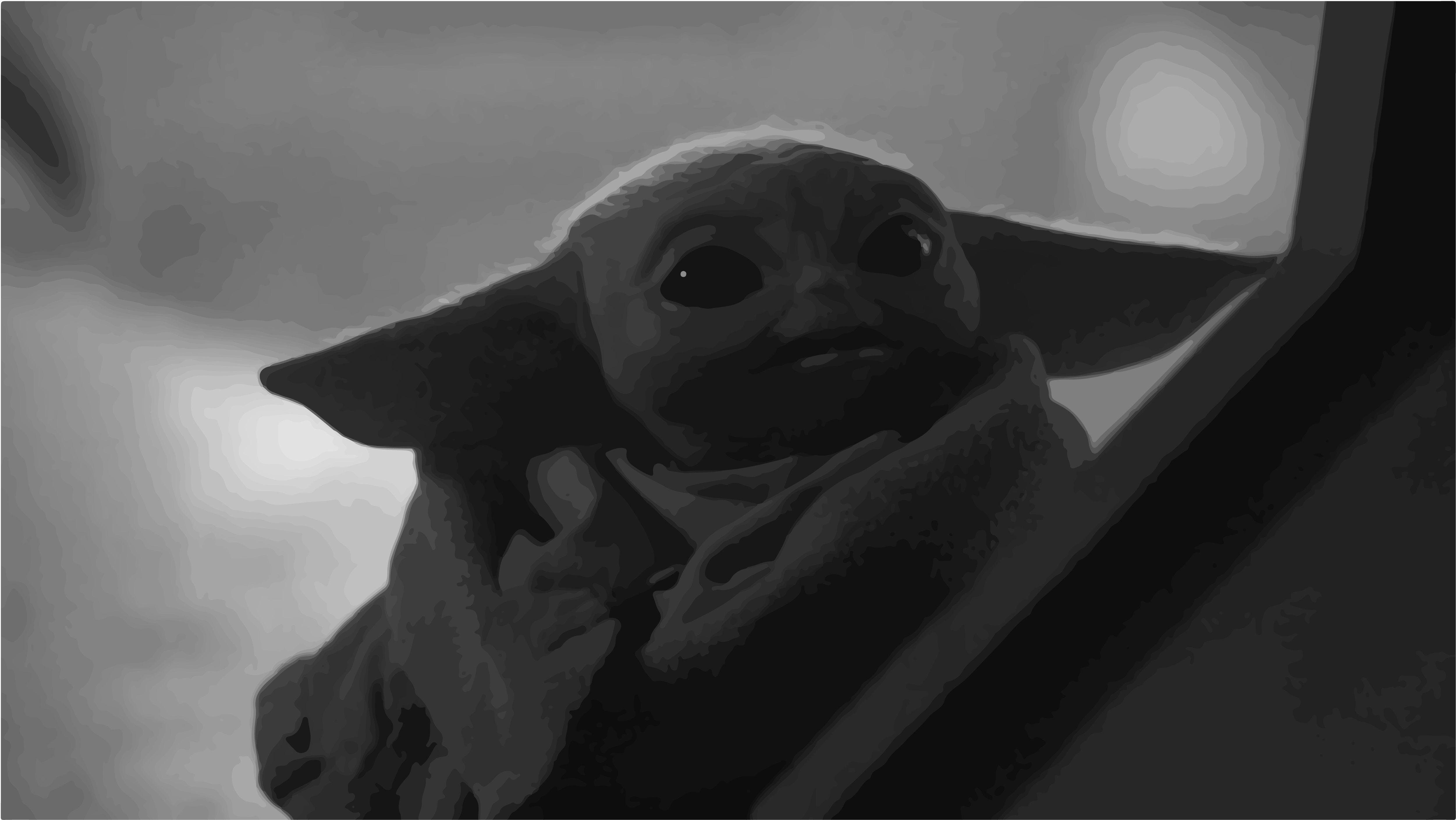 5004x2817 Baby Yoda Wallpaper Black And White