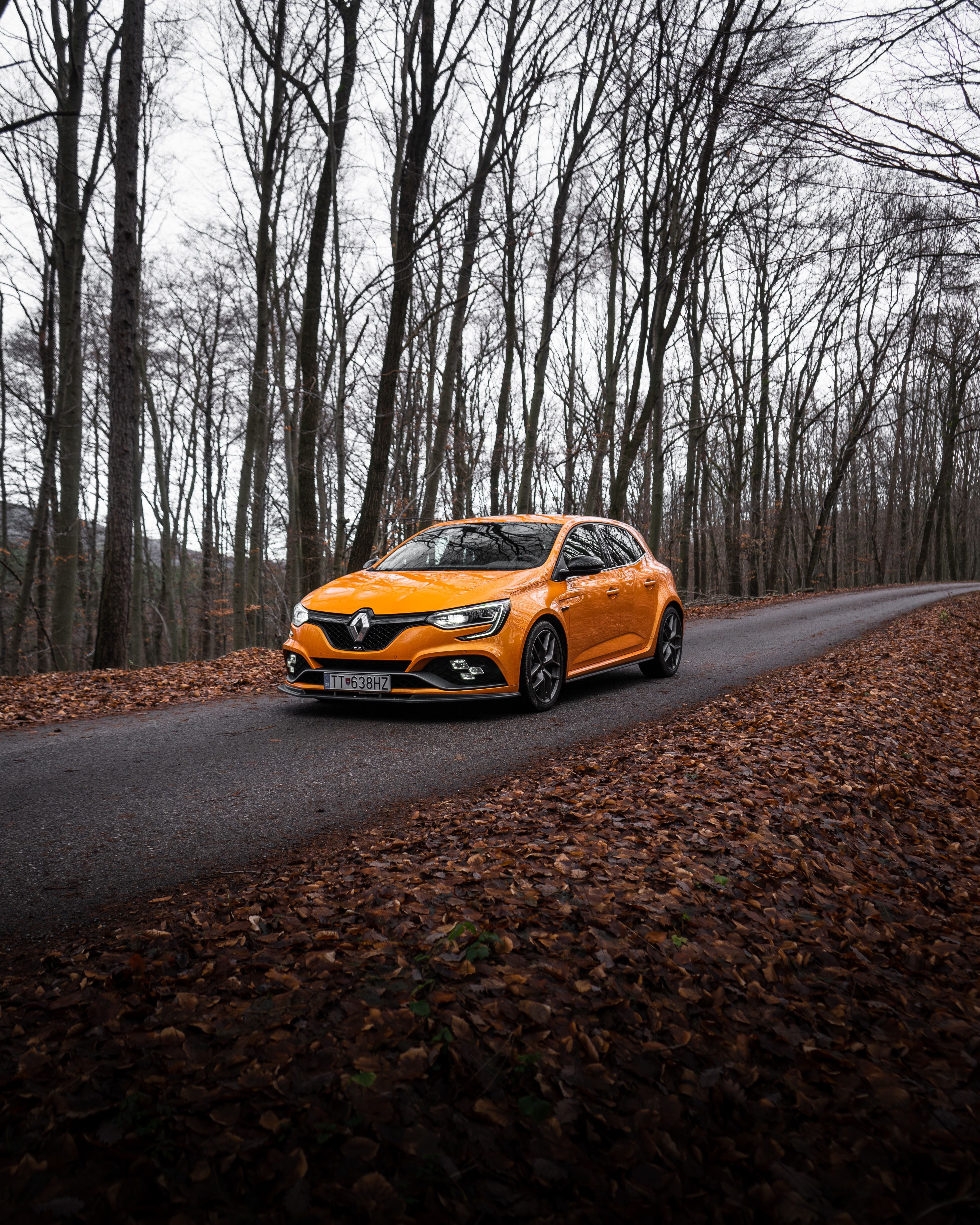 4000x5000 Renault Clio Phone Wallpaper: Free 4K & HD Downloads