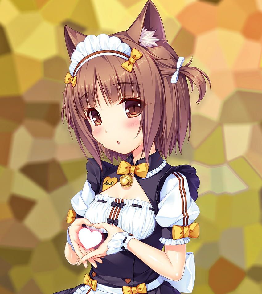 850x954 Here's some of the La Soleil cast!, azuki nekopara HD phone wallpaper