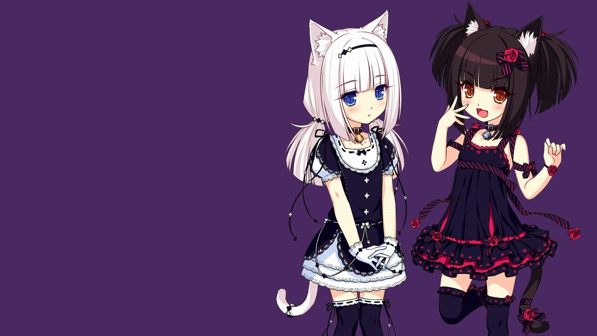 1920x1080 Neko Girl HD Wallpaper Free Download